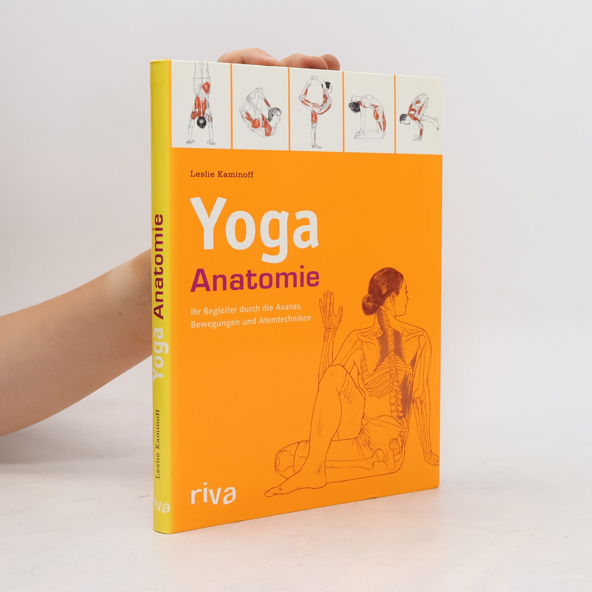Leslie Kaminoff Yoga-Anatomie