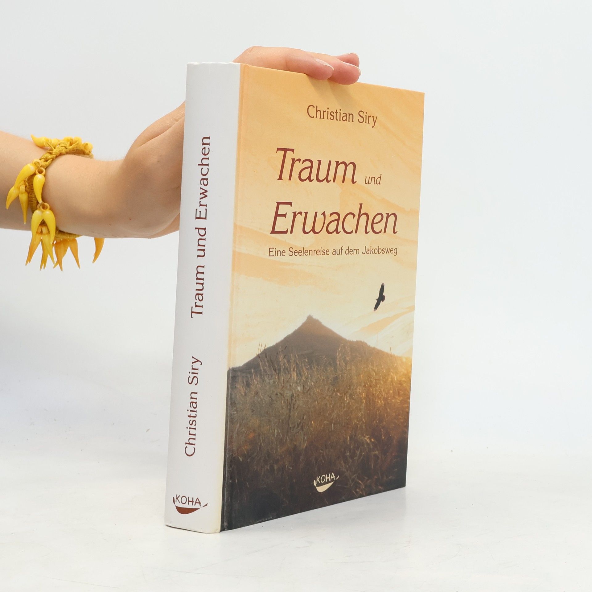 Christian Siry Traum und Erwachen