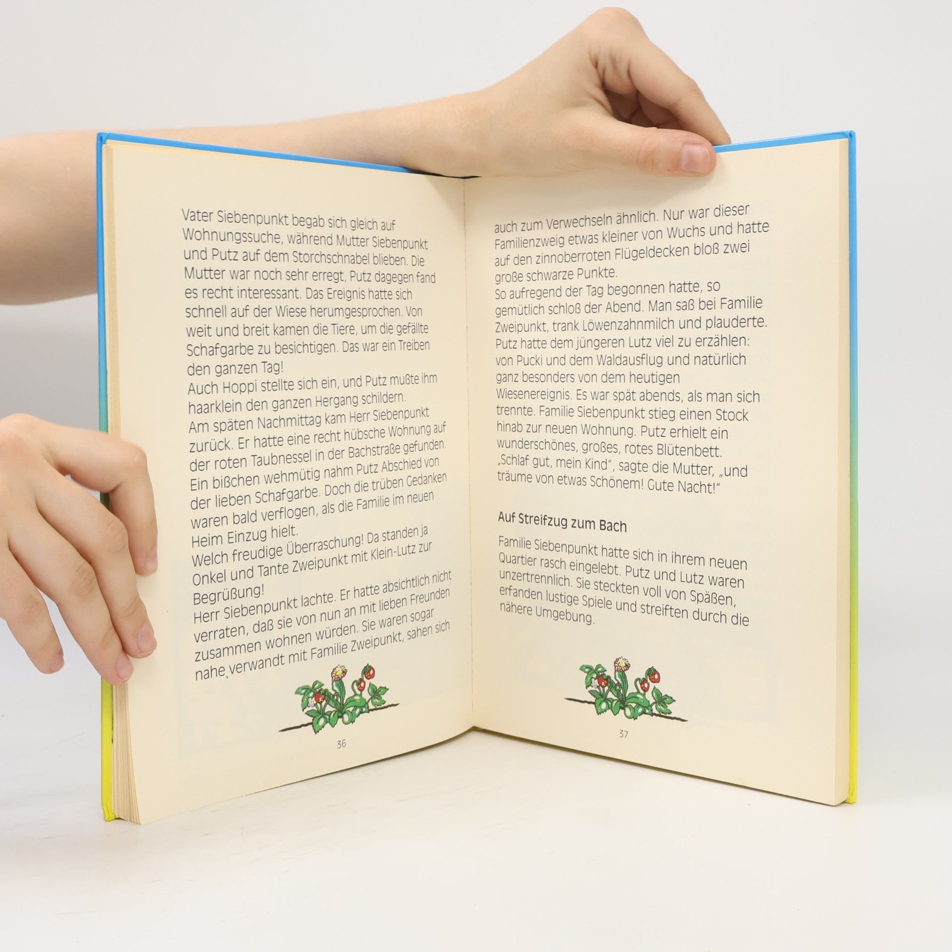 Autores varios Die Abenteuer des kleinen Putz