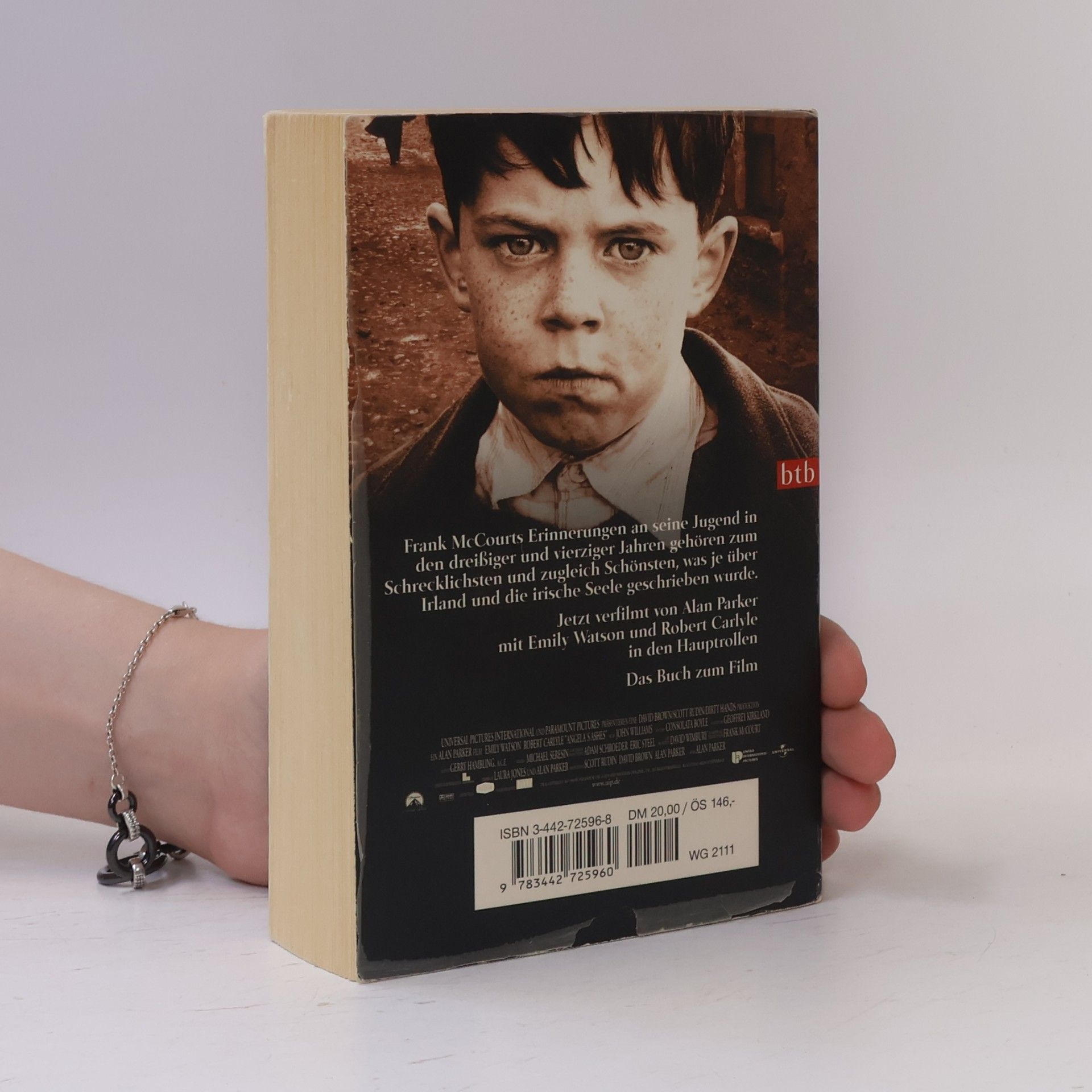 Frank McCourt Die Asche meiner Mutter