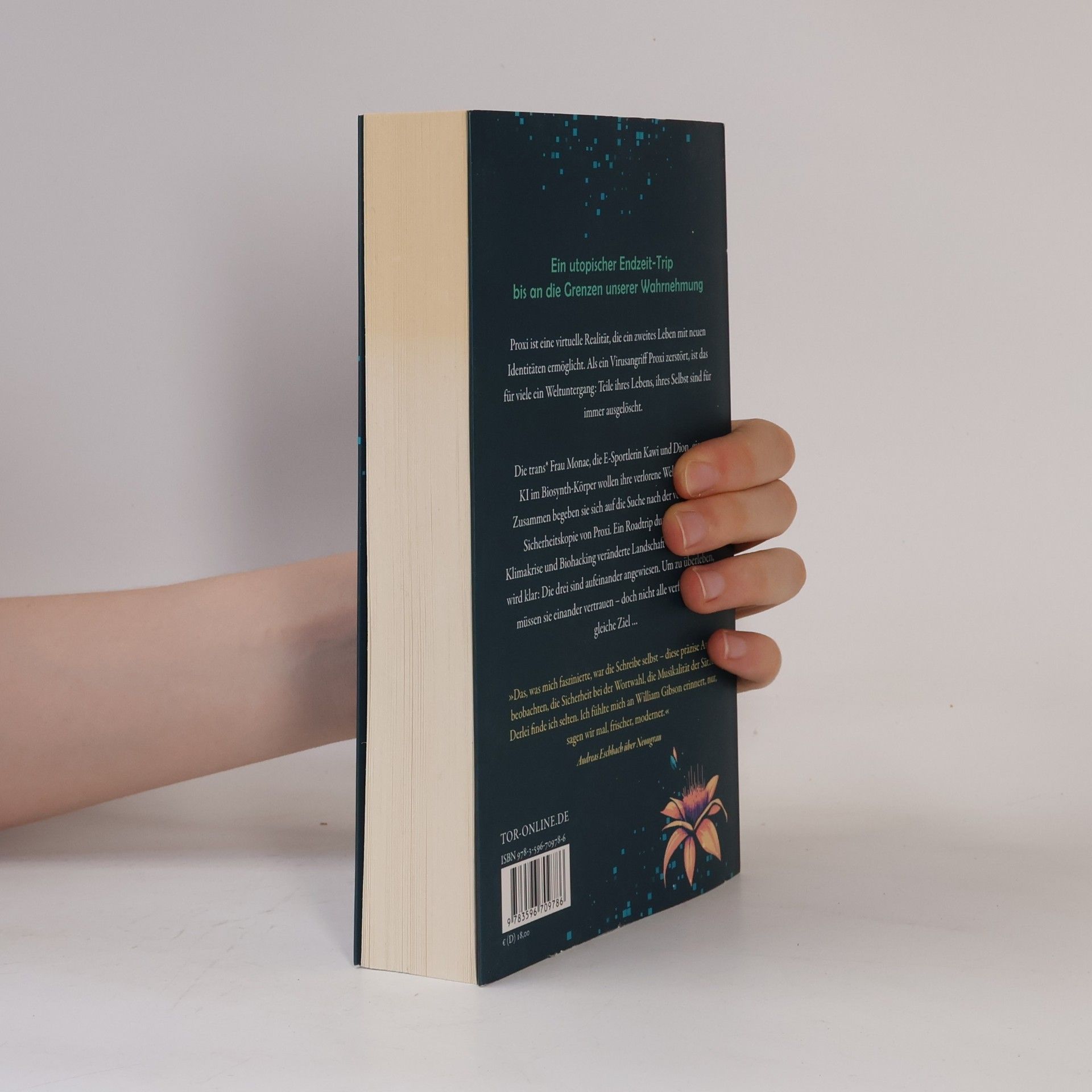 Aiki Mira Proxi. Eine Endzeit-Utopie