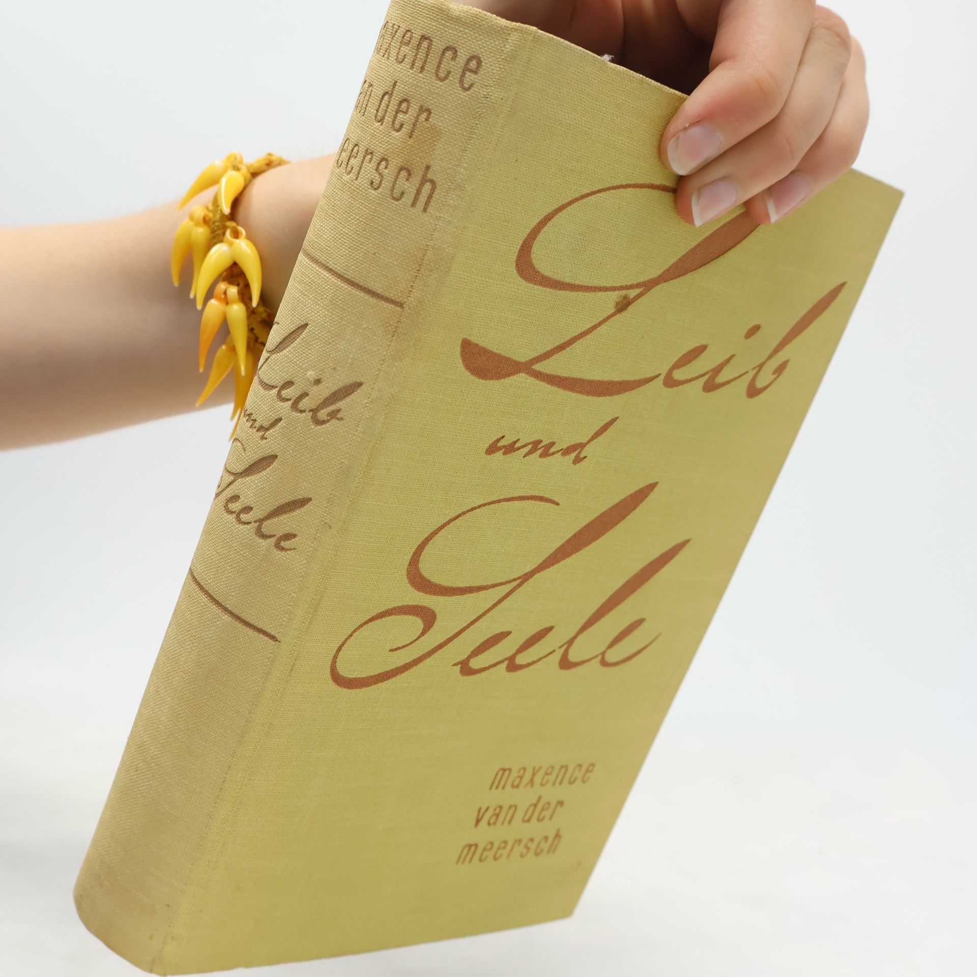 Maxence Van der Meersch Leib und Seele