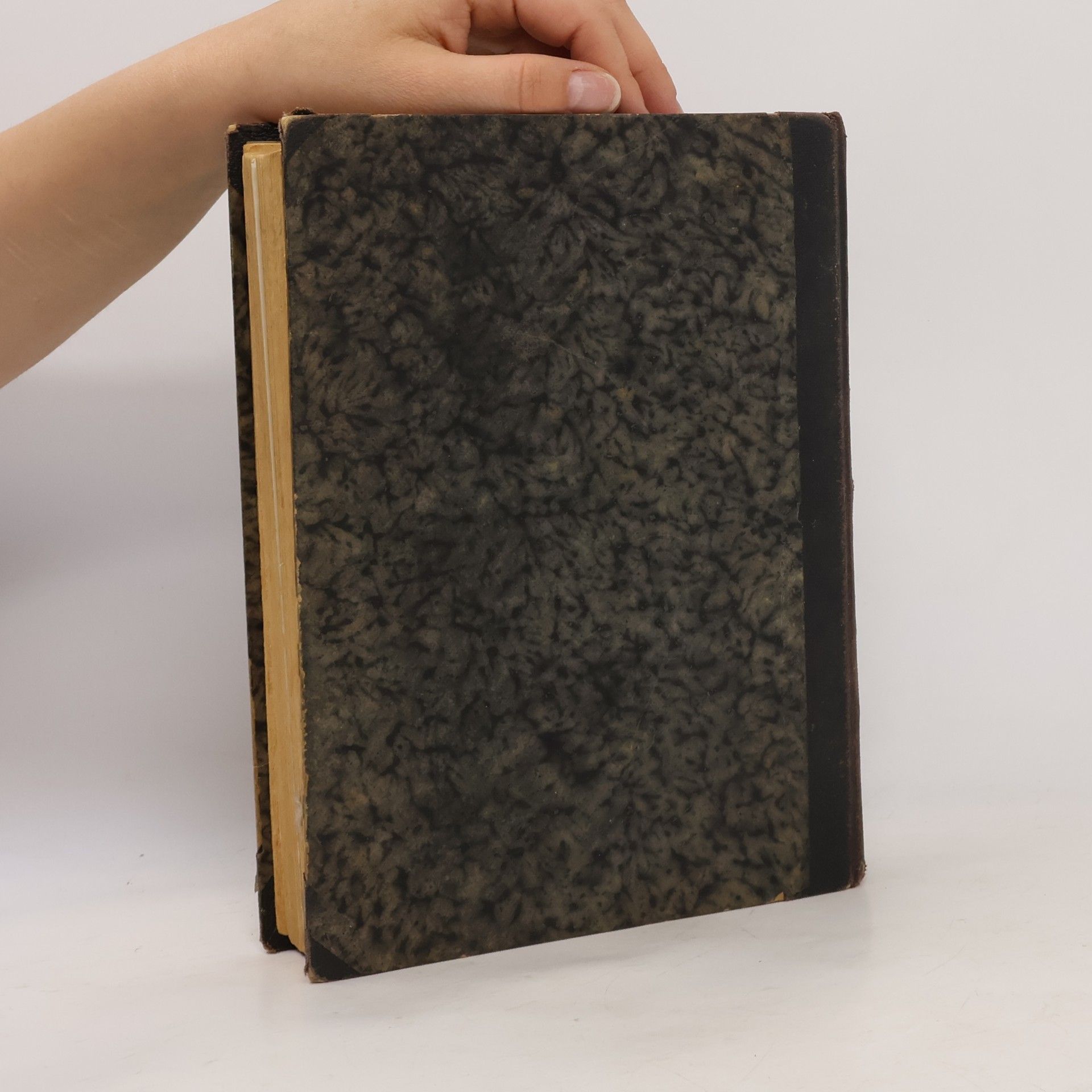 Various authors Kalendář národní politiky na obyčejný rok 1925