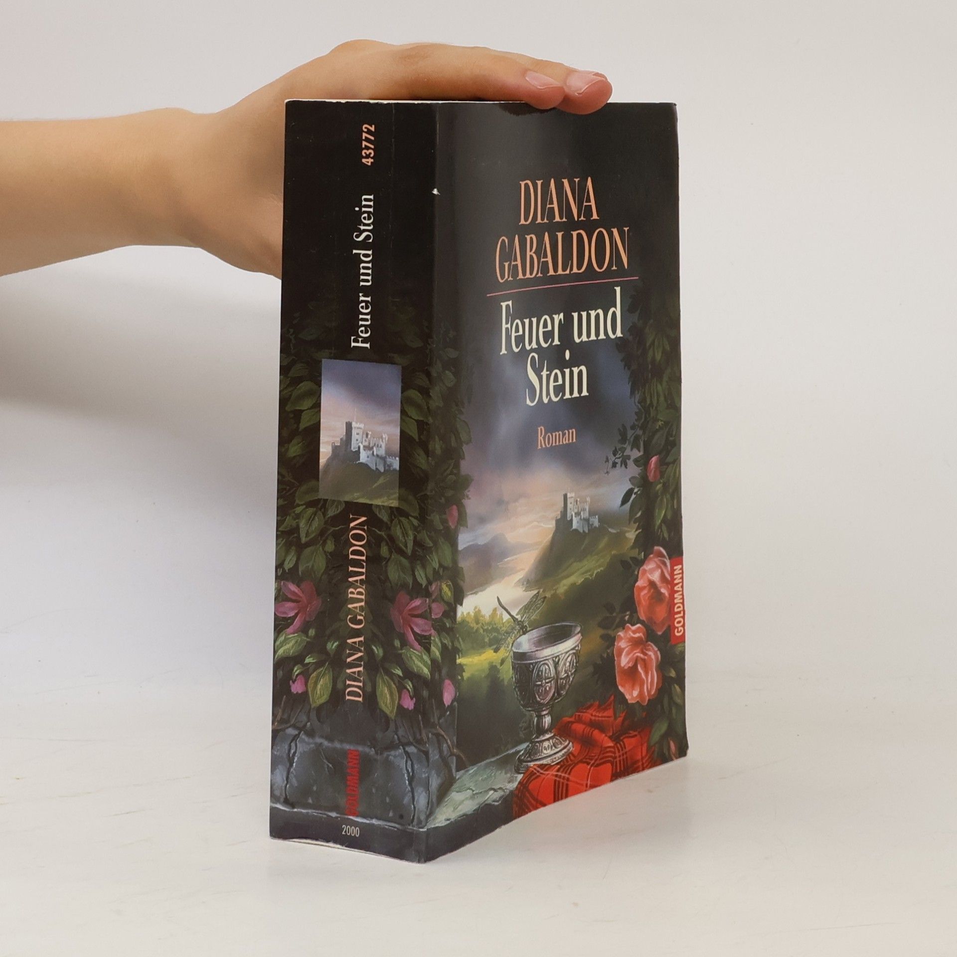 Diana Gabaldon Feuer und Stein