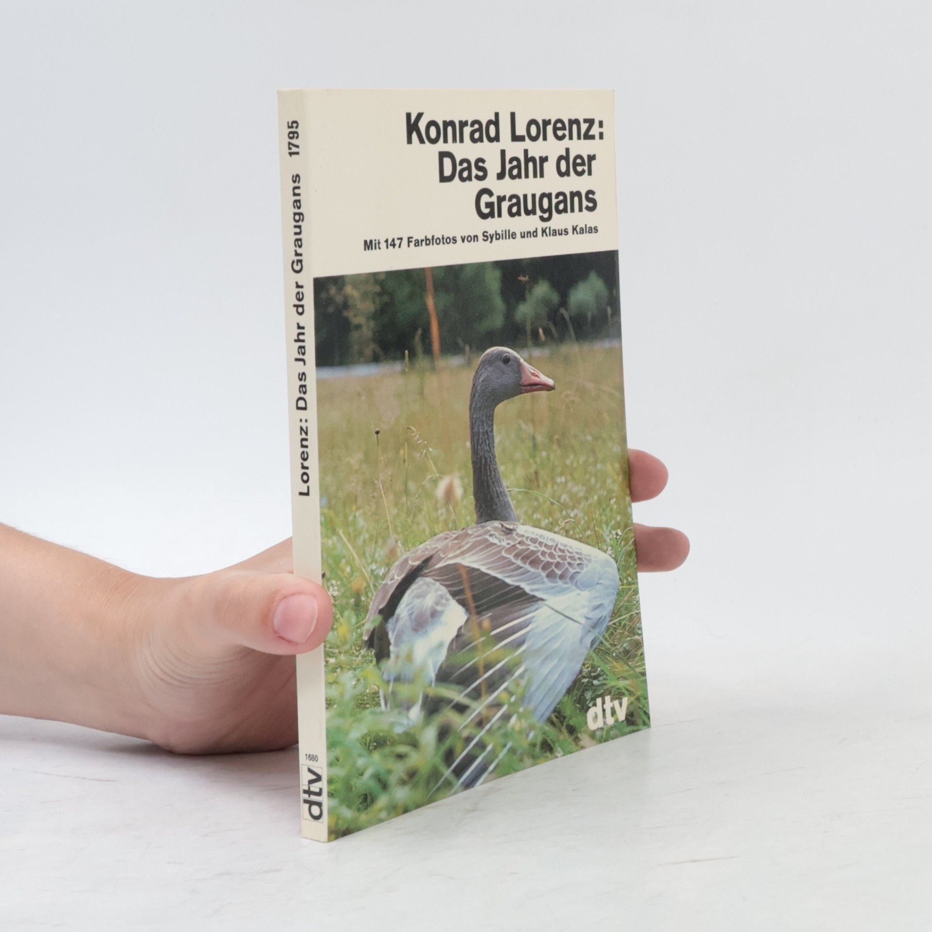 Das Jahr der Graugans