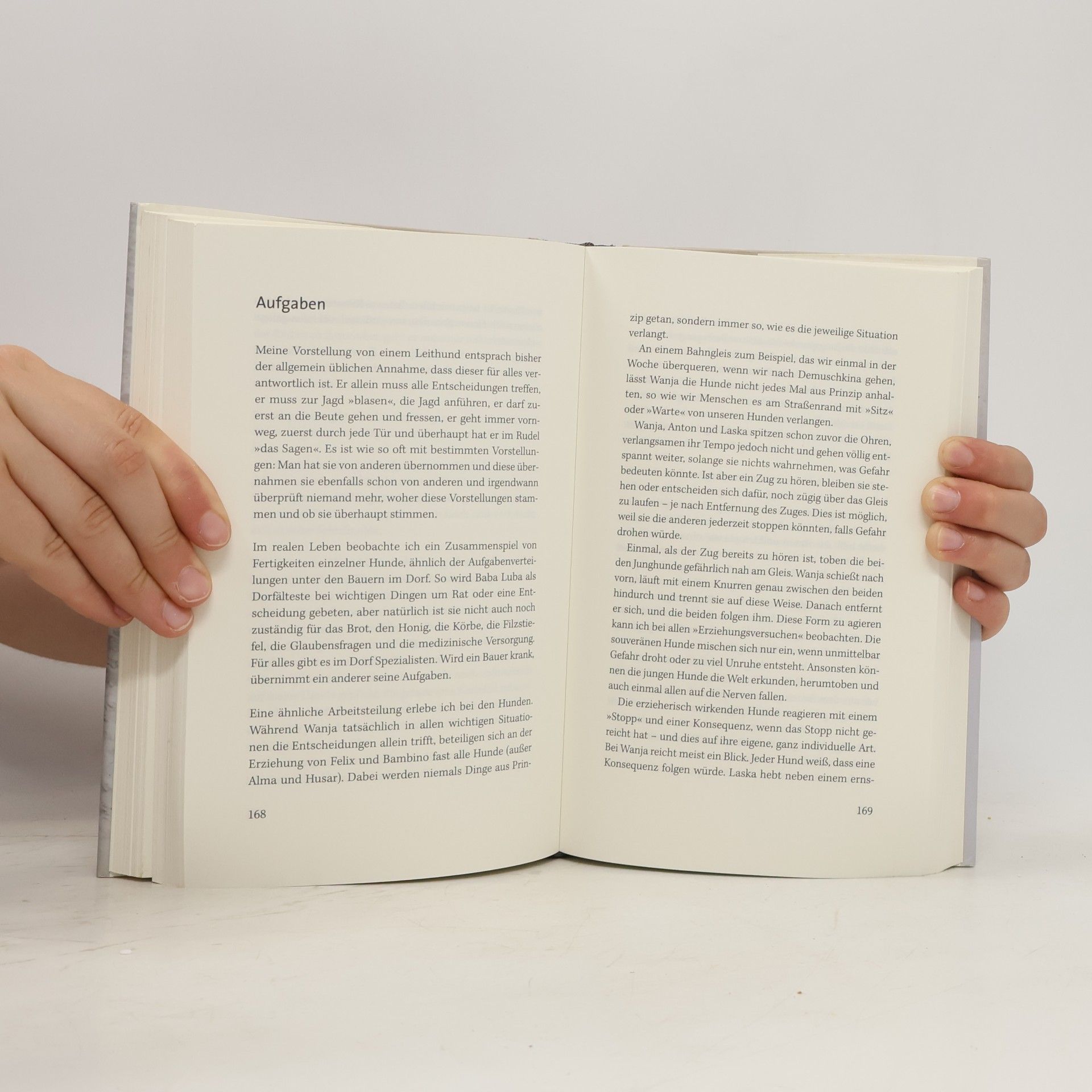 Maike Maja Nowak Wanja und die wilden Hunde
