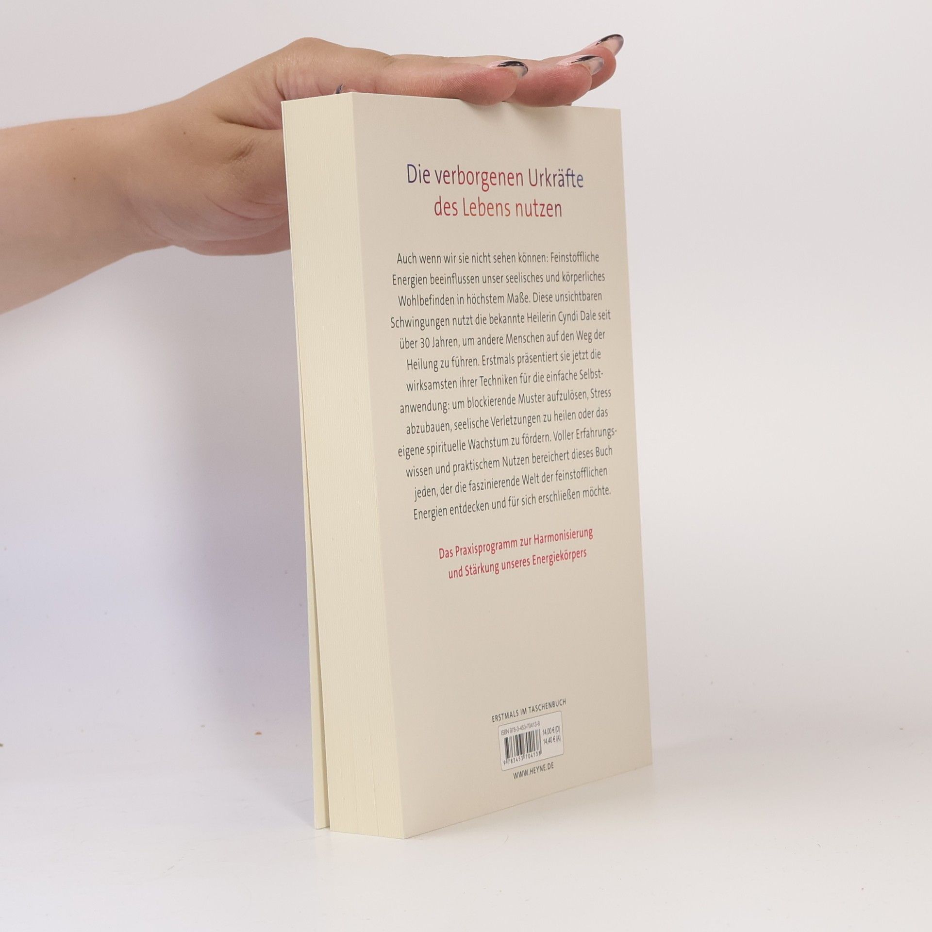 Cyndi Dale Das große Buch der feinstofflichen Energien. Heilung, Lebenskraft, innere Stärke. Das Praxisprogramm