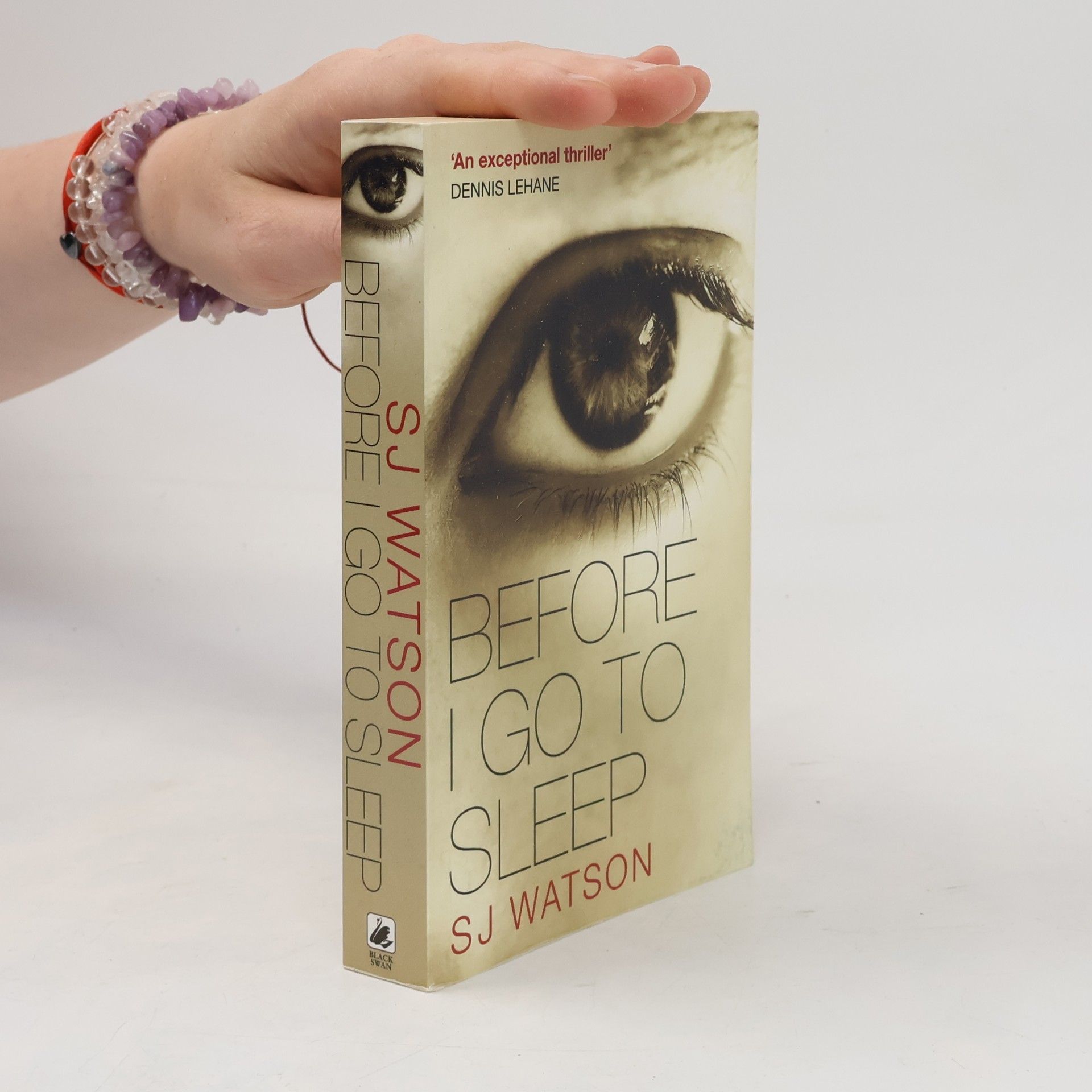 S. J. Watson Before I Go to Sleep