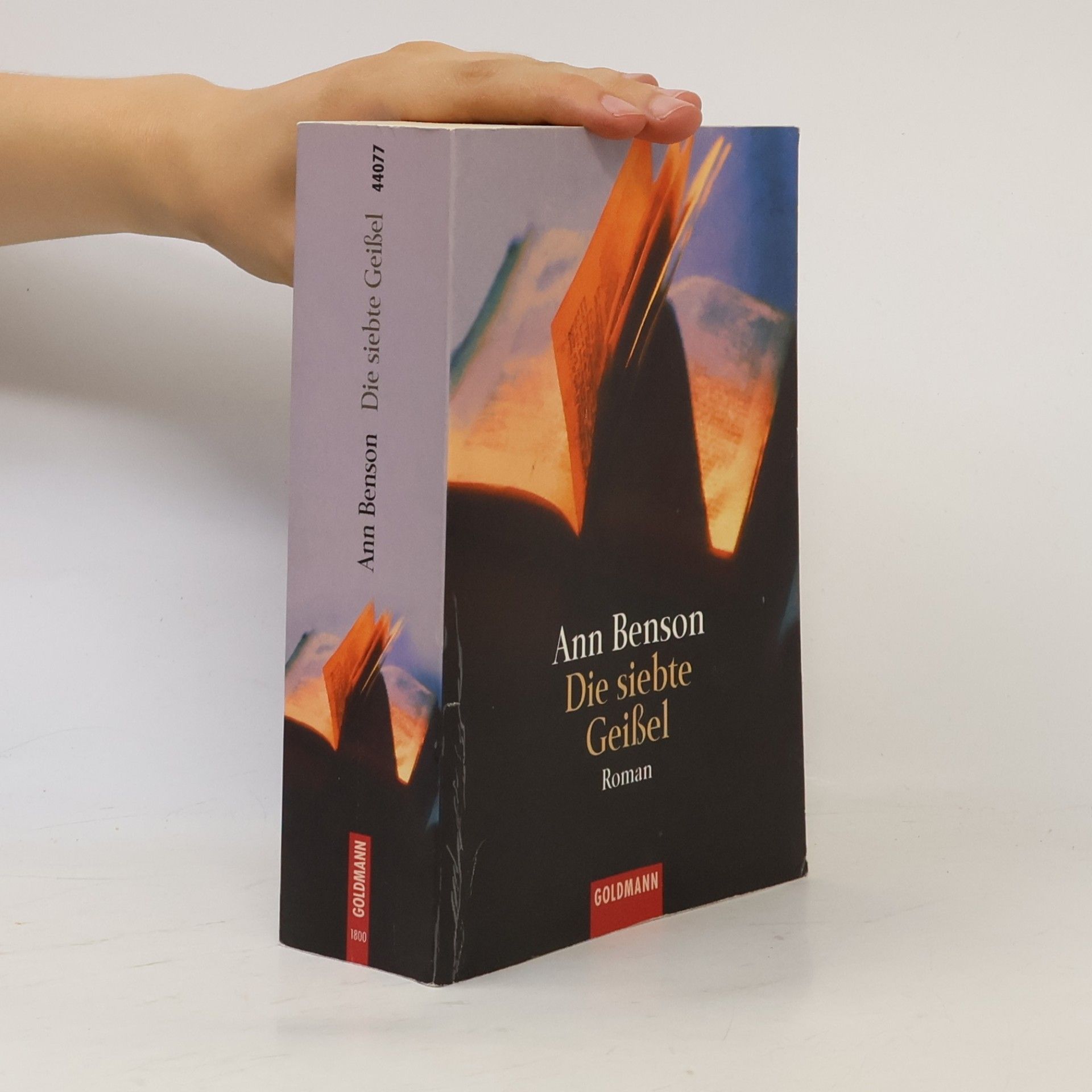 Ann Benson Die siebte Geißel