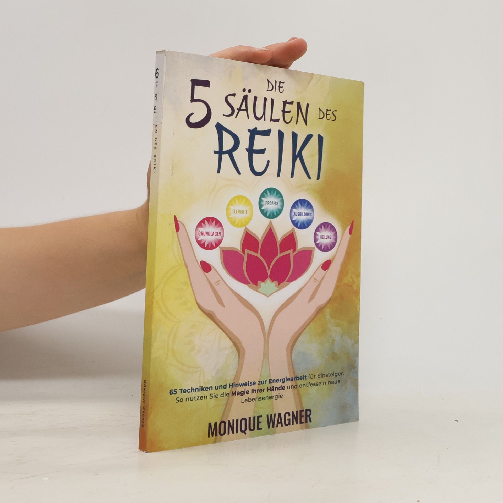 Monique Wagner Die 5 Säulen Des Reiki