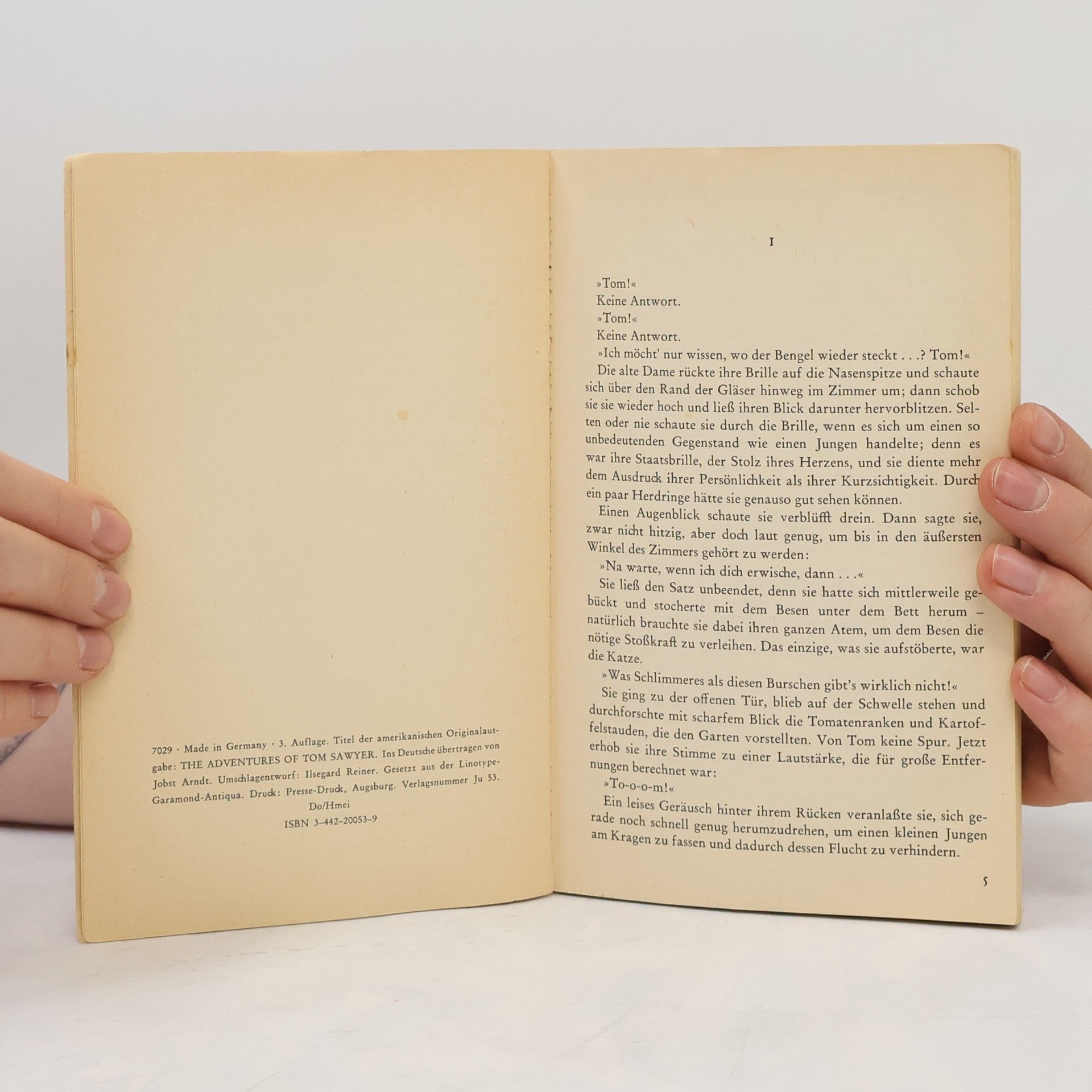 Mark Twain Tom Sawyer