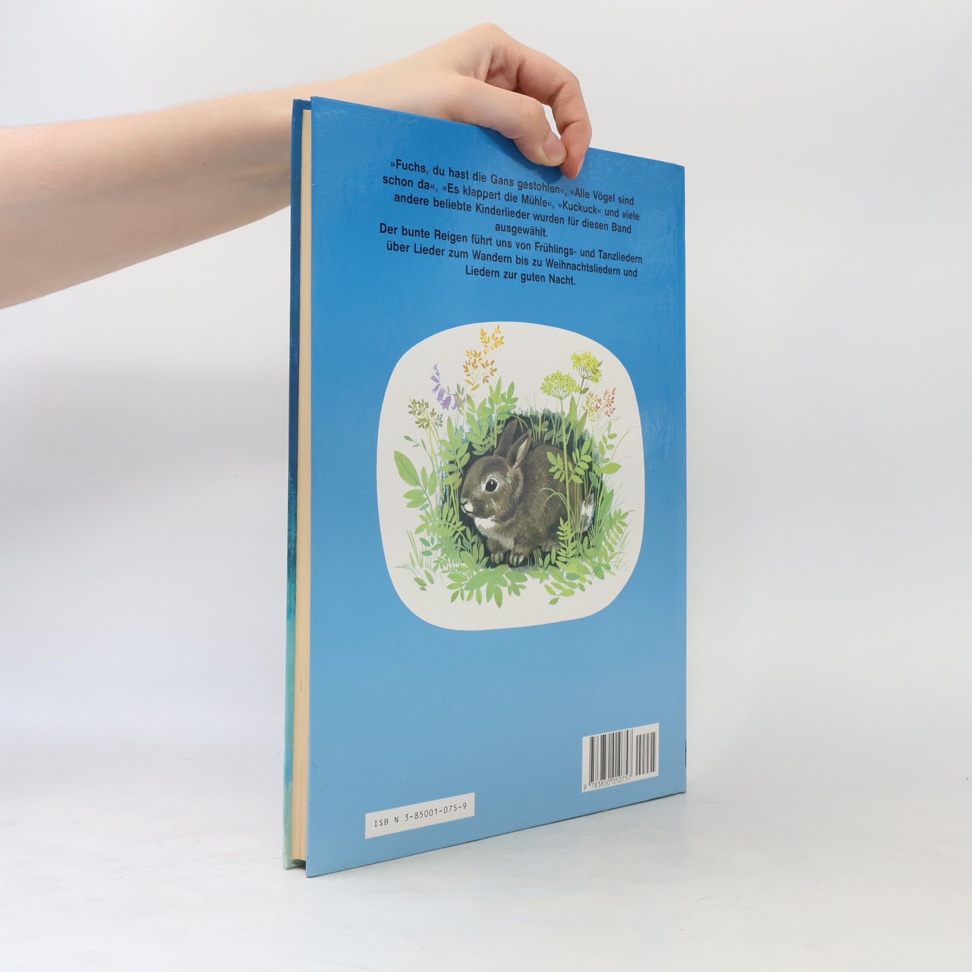 Franz Burkhart Das große Buch der Kinderlieder