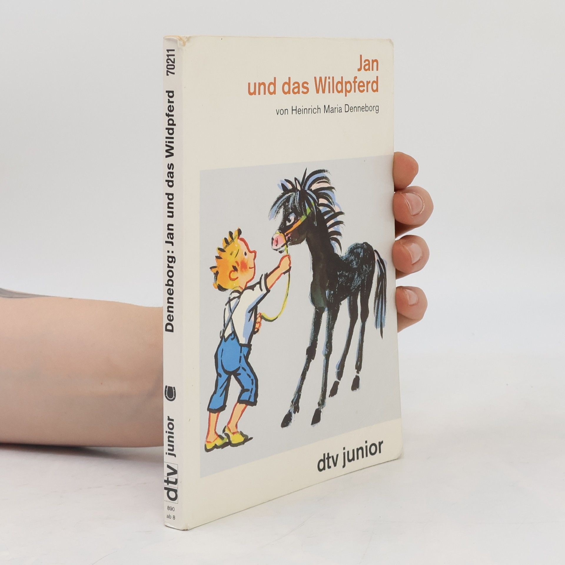 Heinrich Maria Denneborg Jan und das Wildpferd