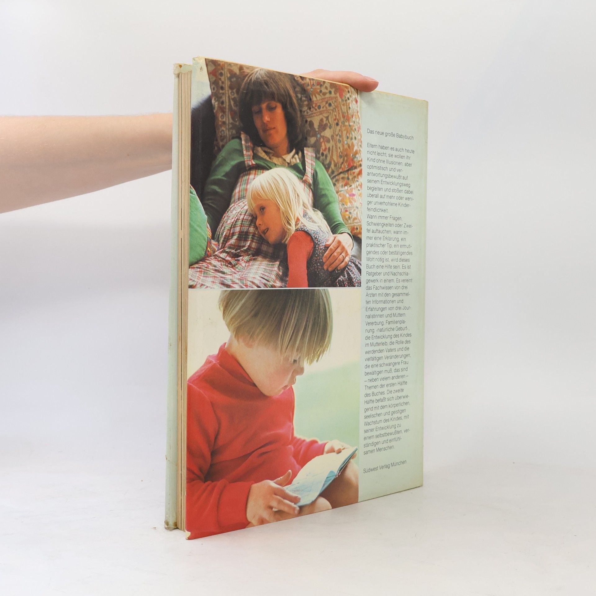 Lore Schultz-Wild Das neue große Babybuch