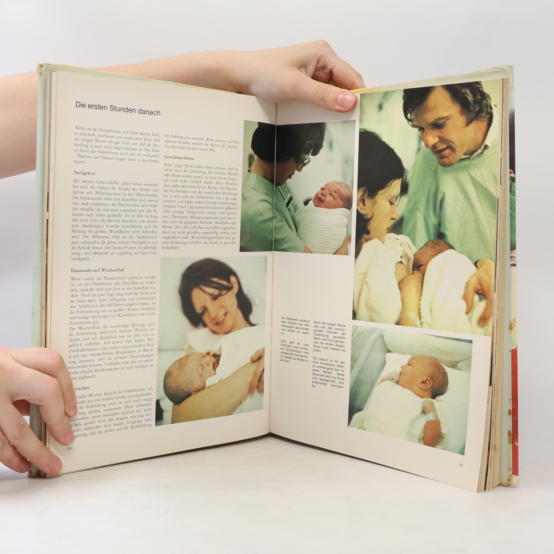 Lore Schultz-Wild Das neue große Babybuch