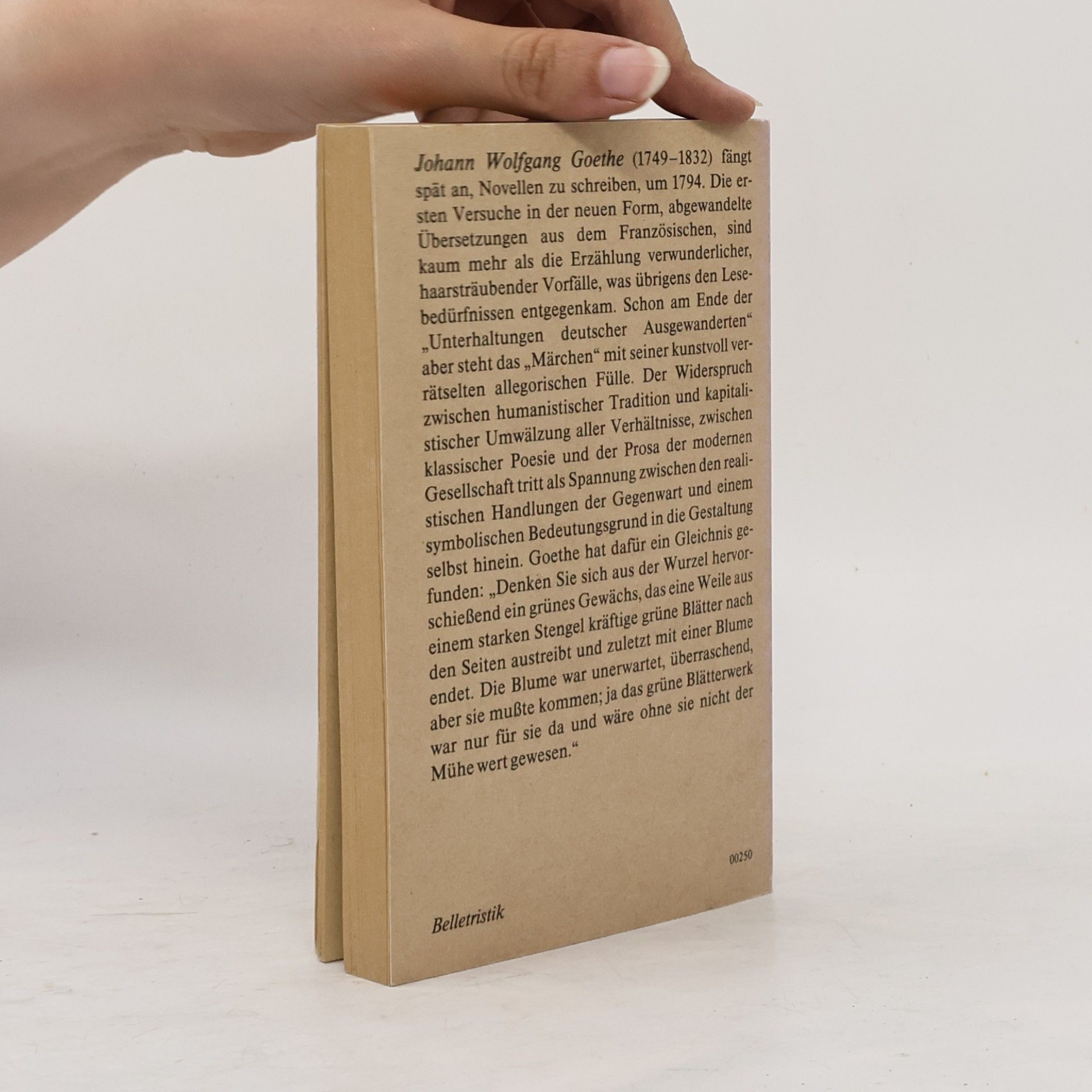 Johann Wolfgang von Goethe Novellen