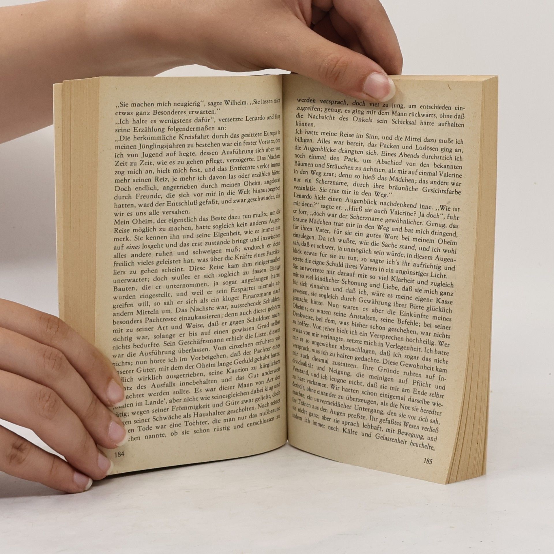 Johann Wolfgang von Goethe Novellen