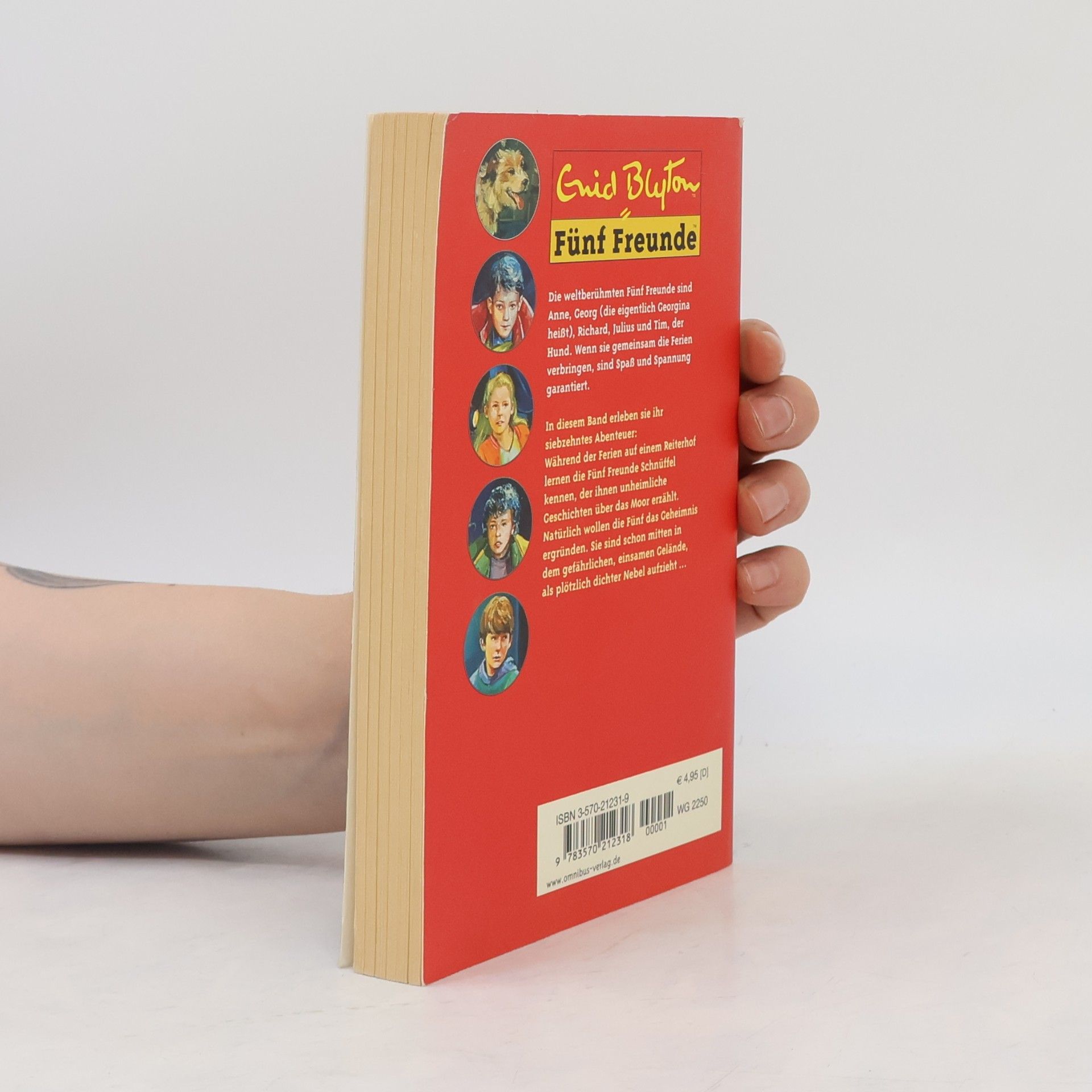 Enid Blyton Fünf Freunde im Nebel