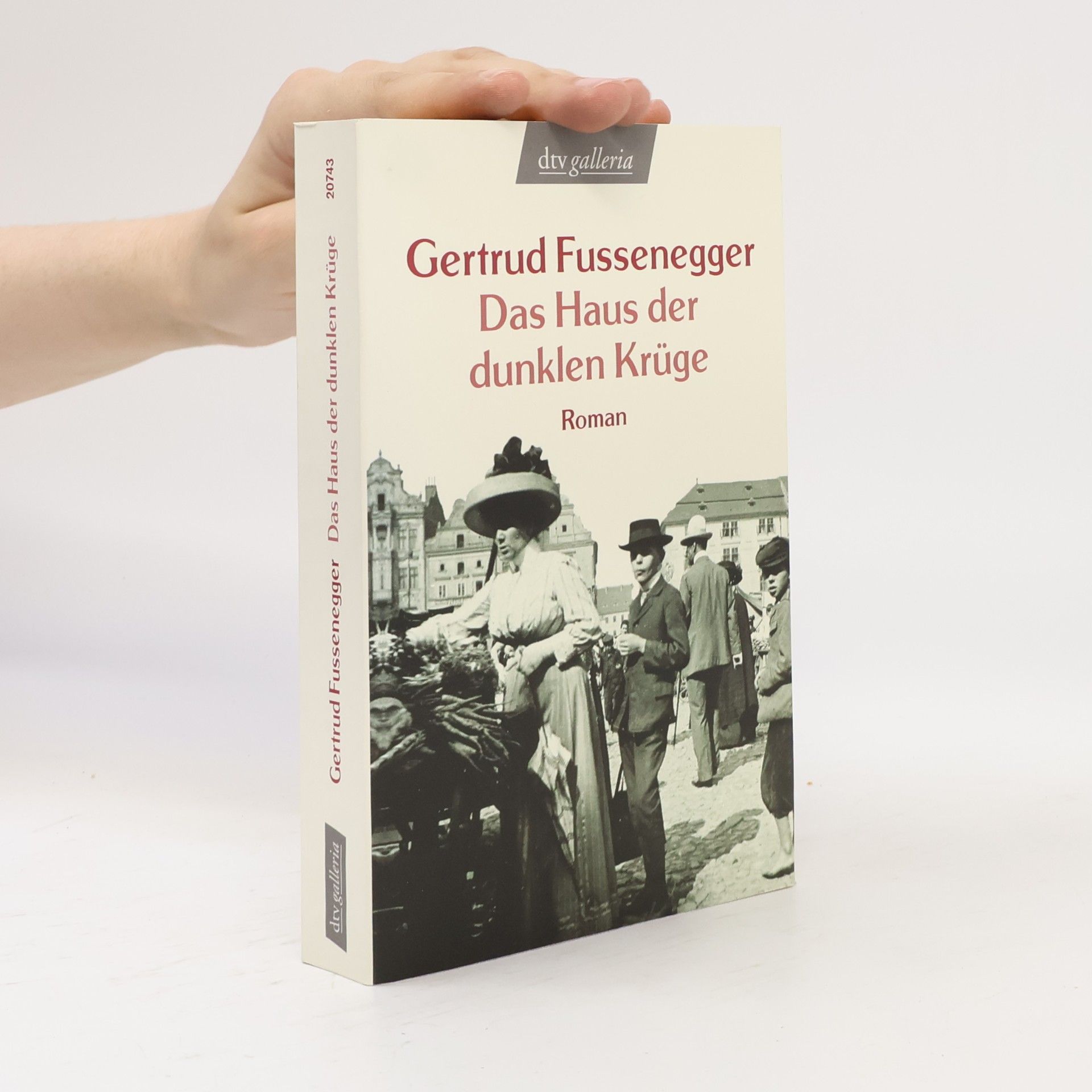 Gertrud Fussenegger Das Haus der dunklen Krüge