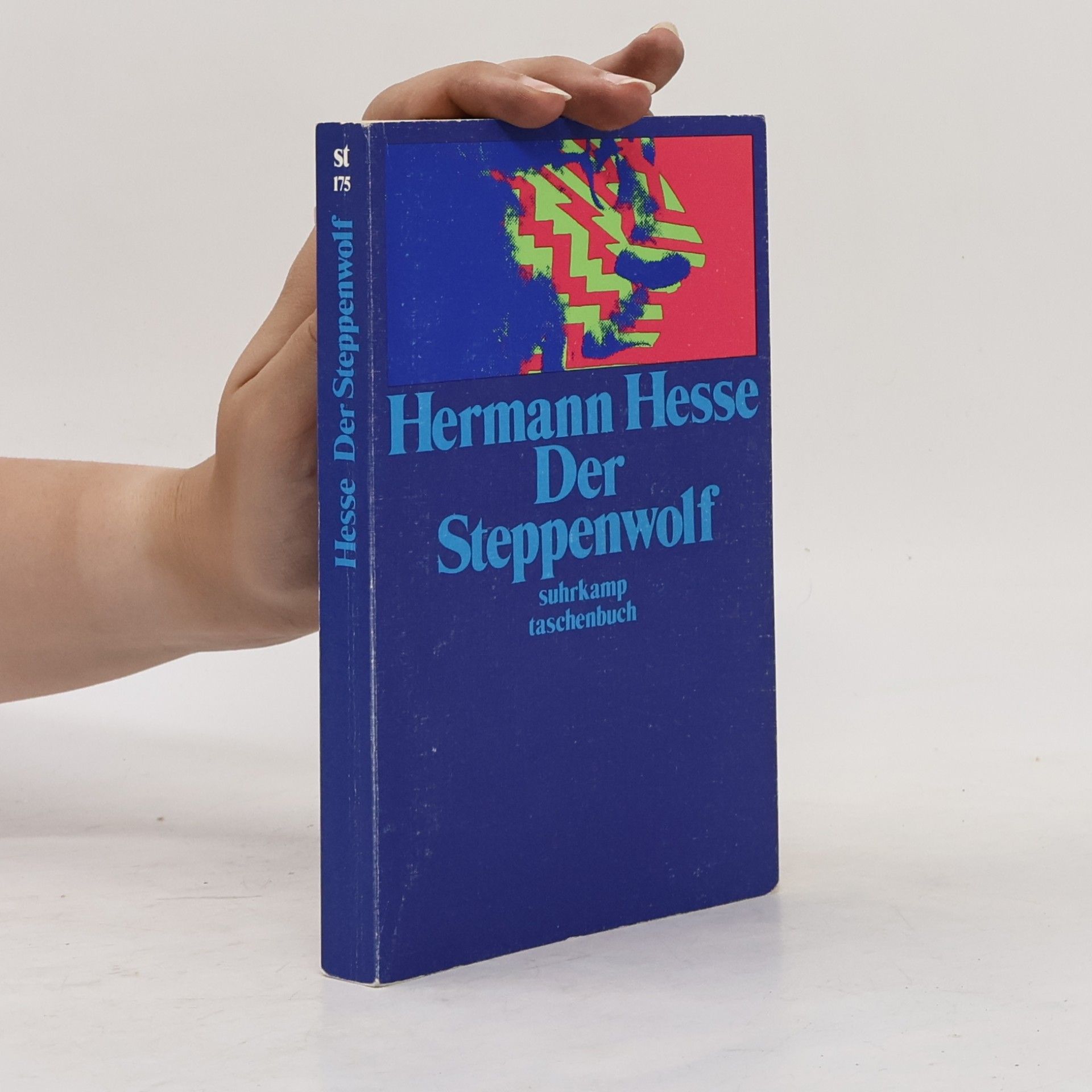 Hermann Hesse Der Steppenwolf
