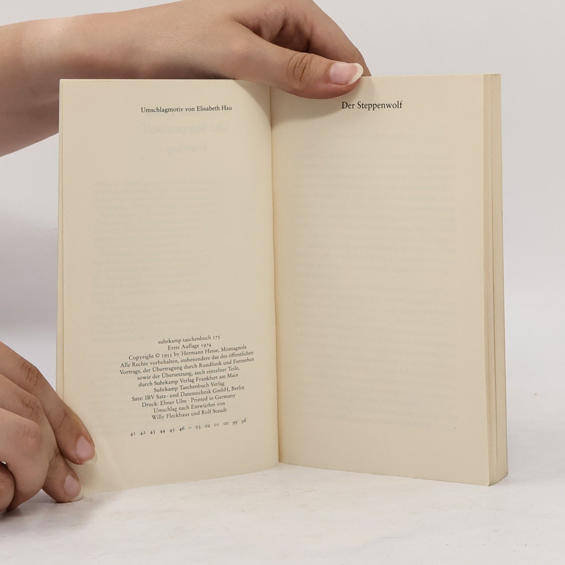 Hermann Hesse Der Steppenwolf