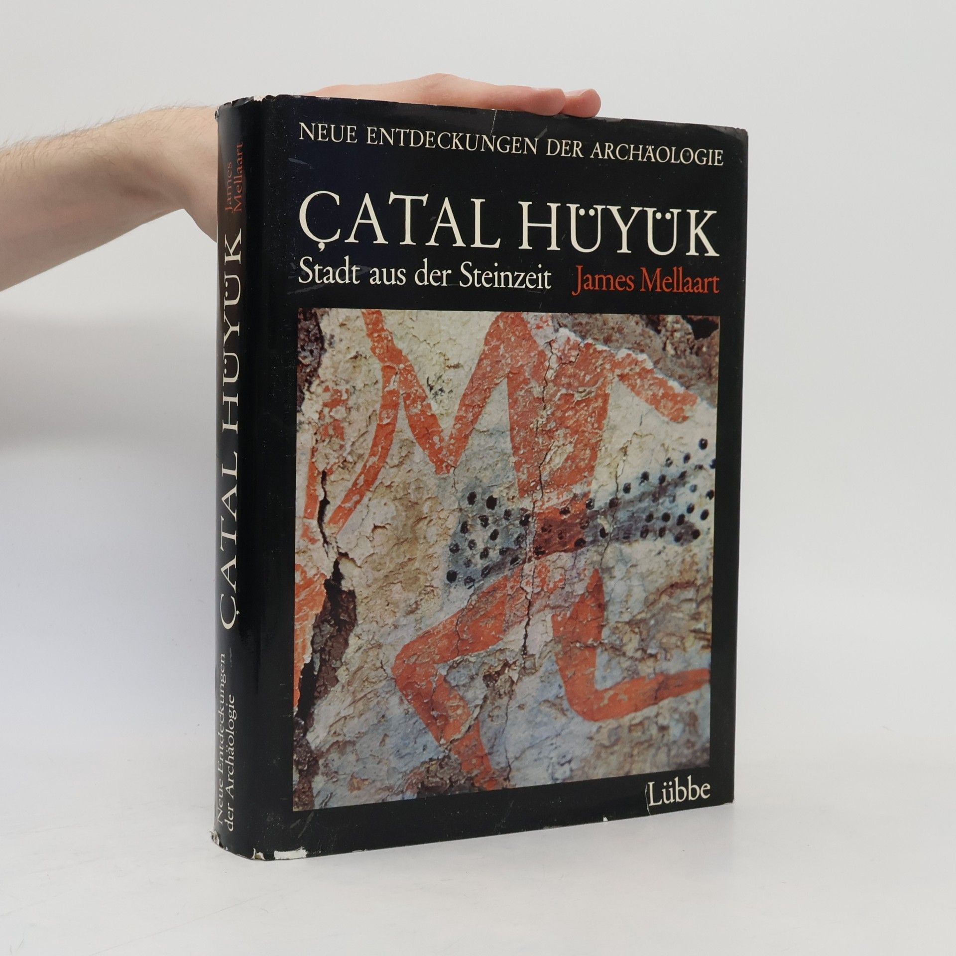 Çatal Hüyük