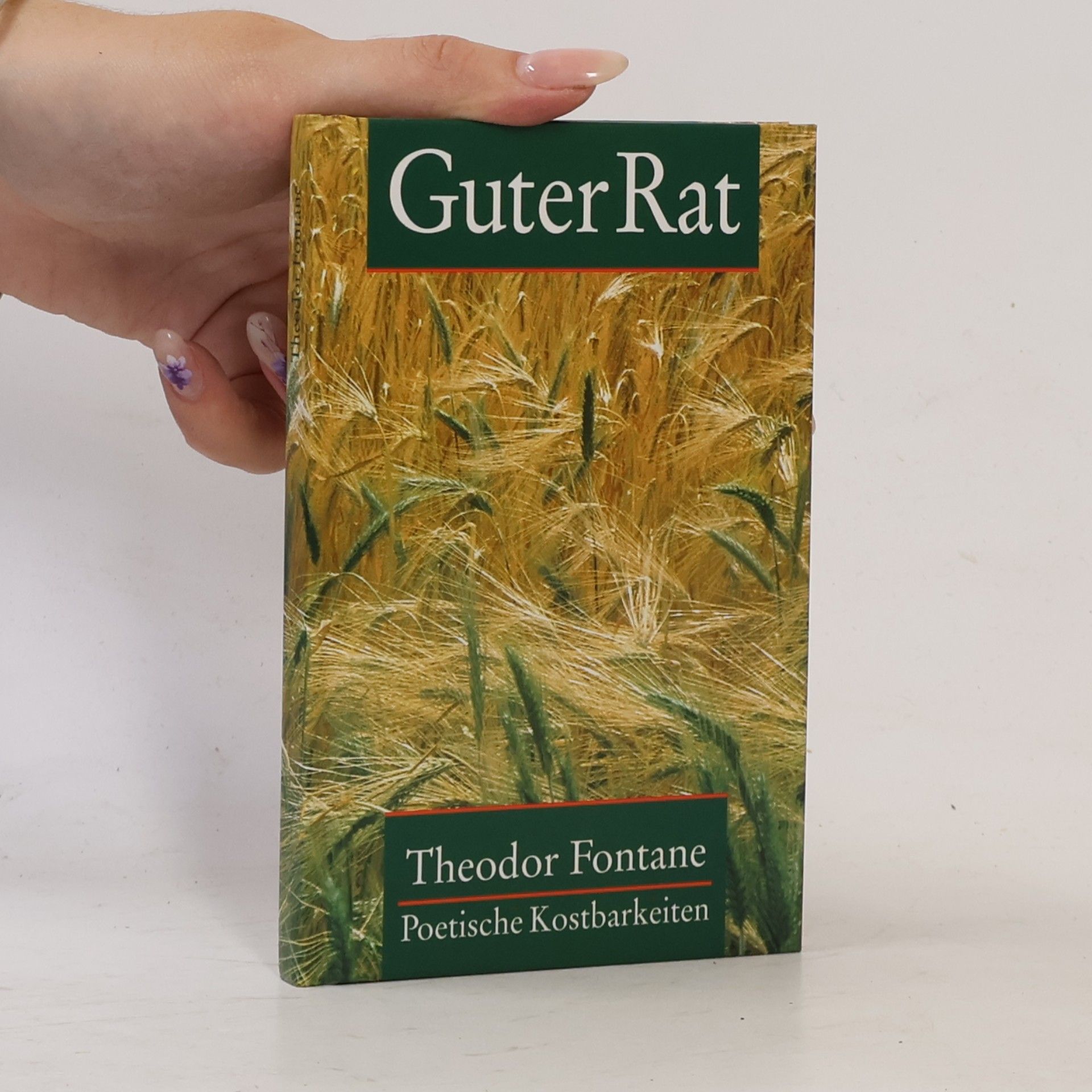 Theodor Fontane Guter Rat