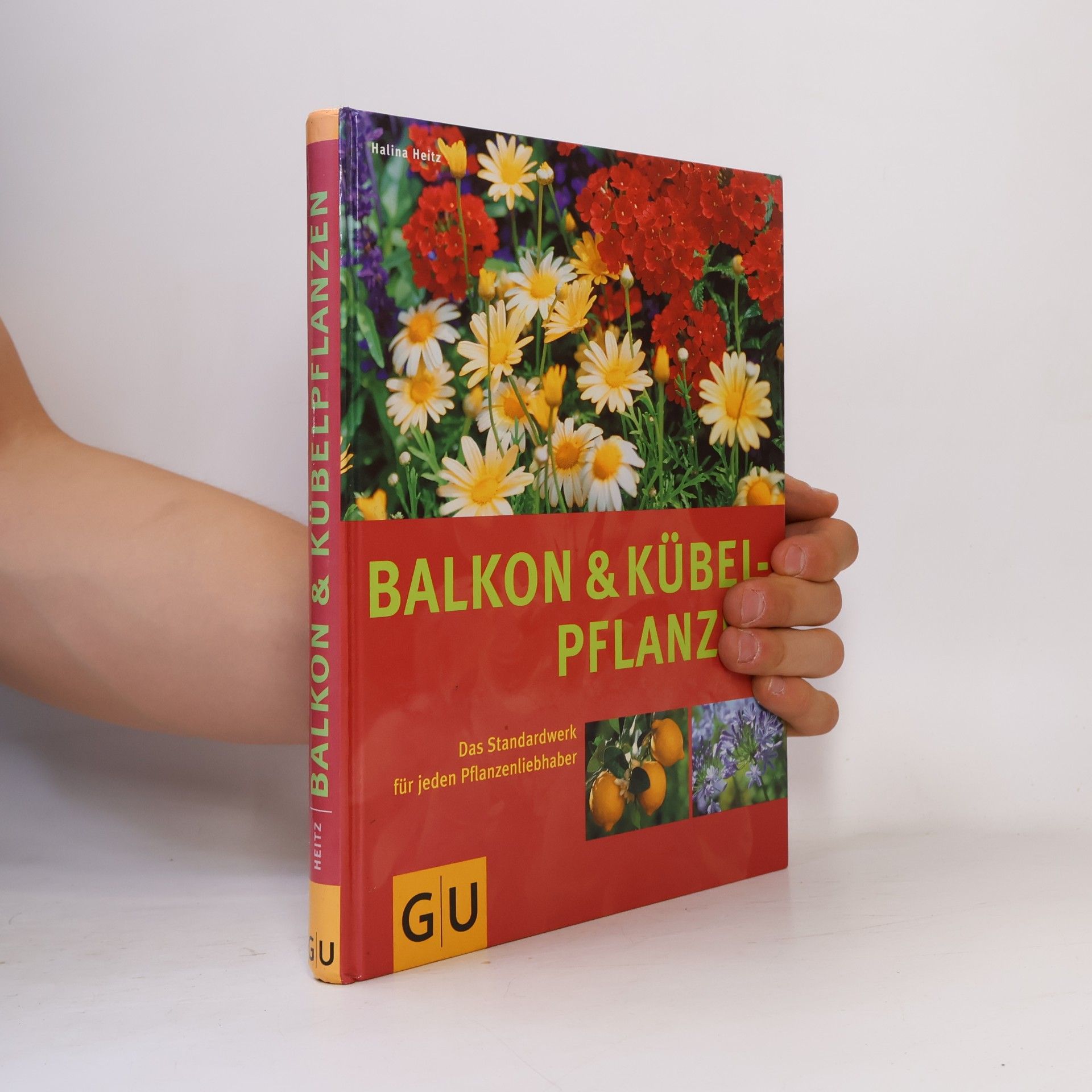 Halina Heitz Balkon und Kübelpflanzen