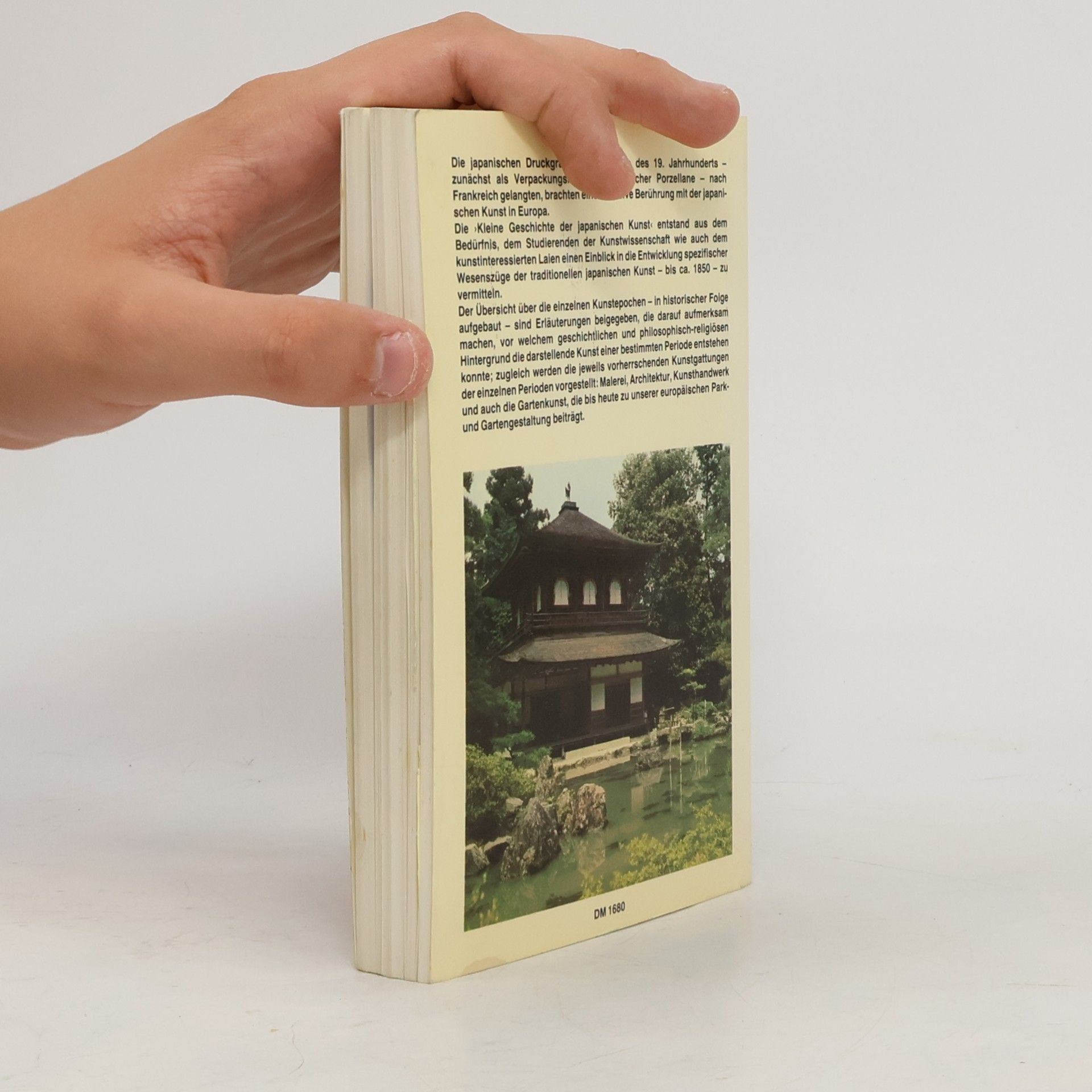 Renée Violet Kleine Geschichte der japanischen Kunst