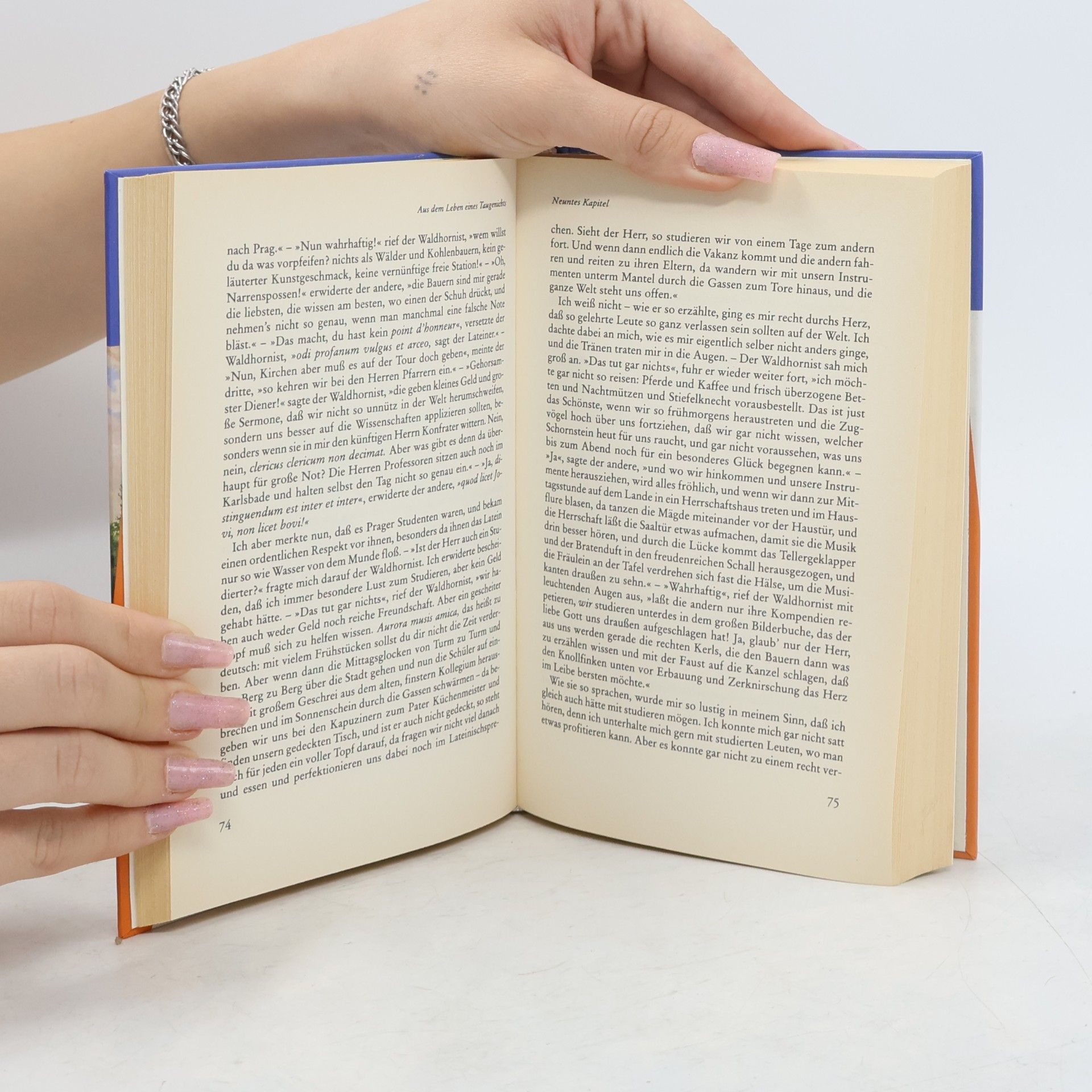 Joseph von Eichendorff Aus dem Leben eines Taugenichts und andere Novellen