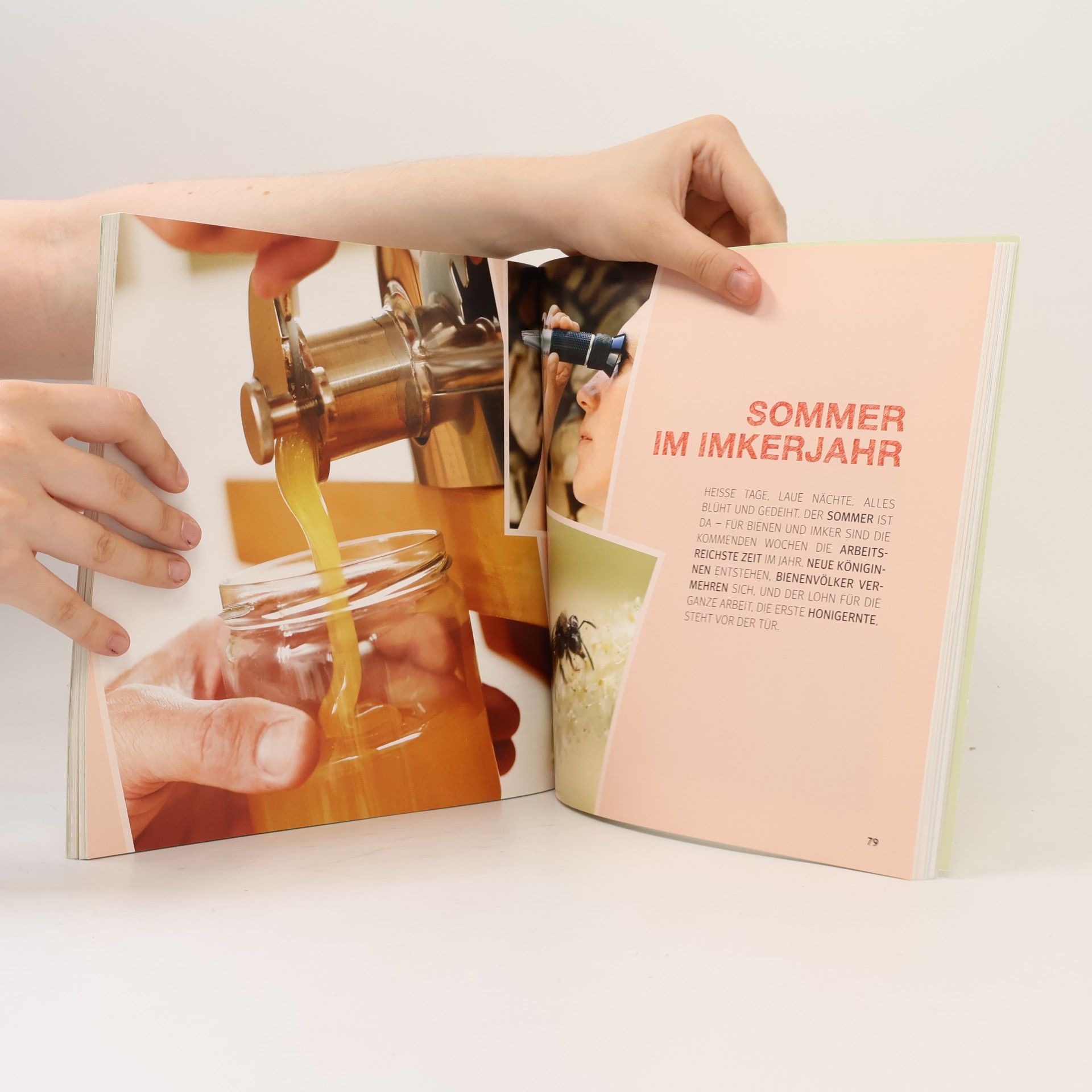 Sandra Bielmeier Bienen Basics