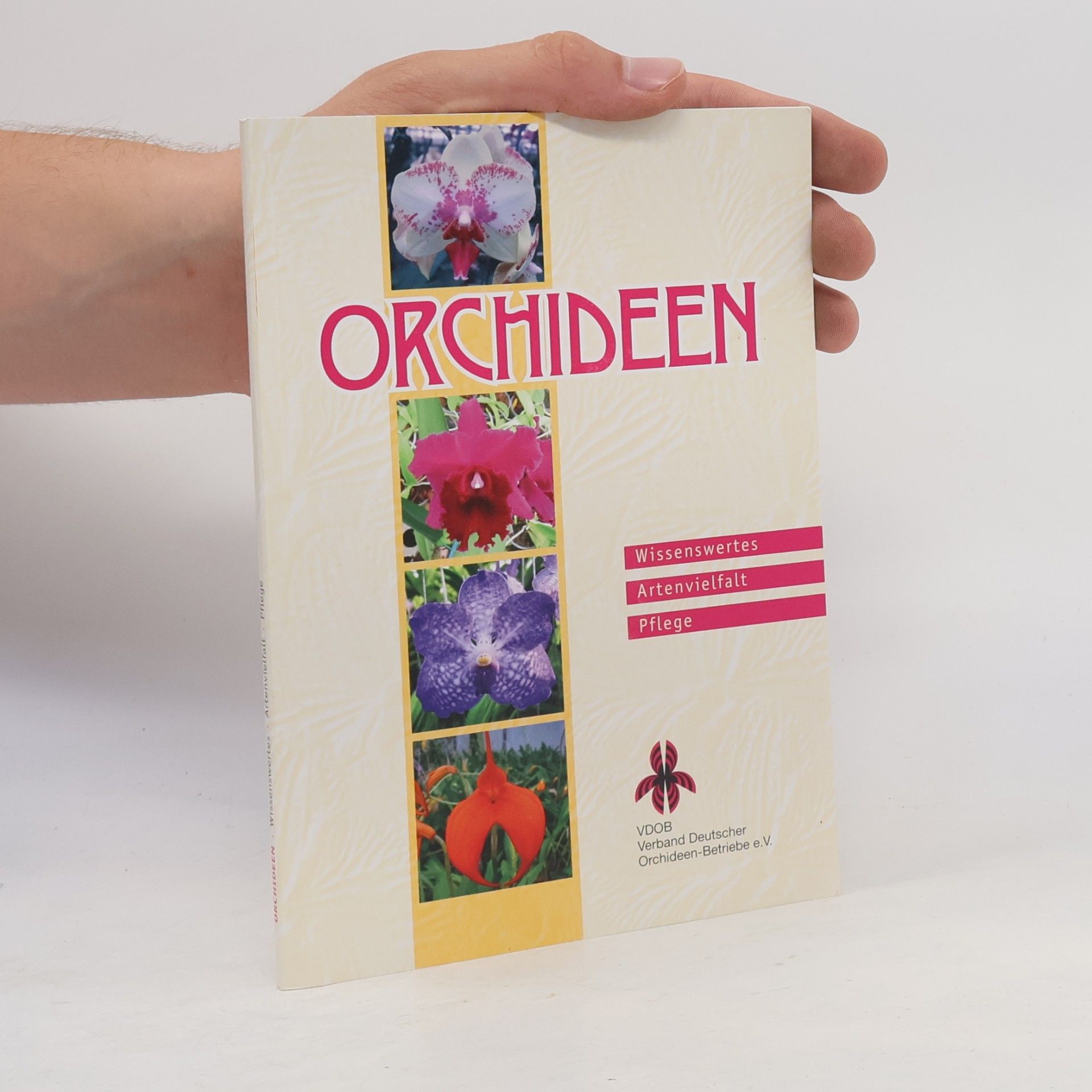 Autorenkollektiv Orchideen
