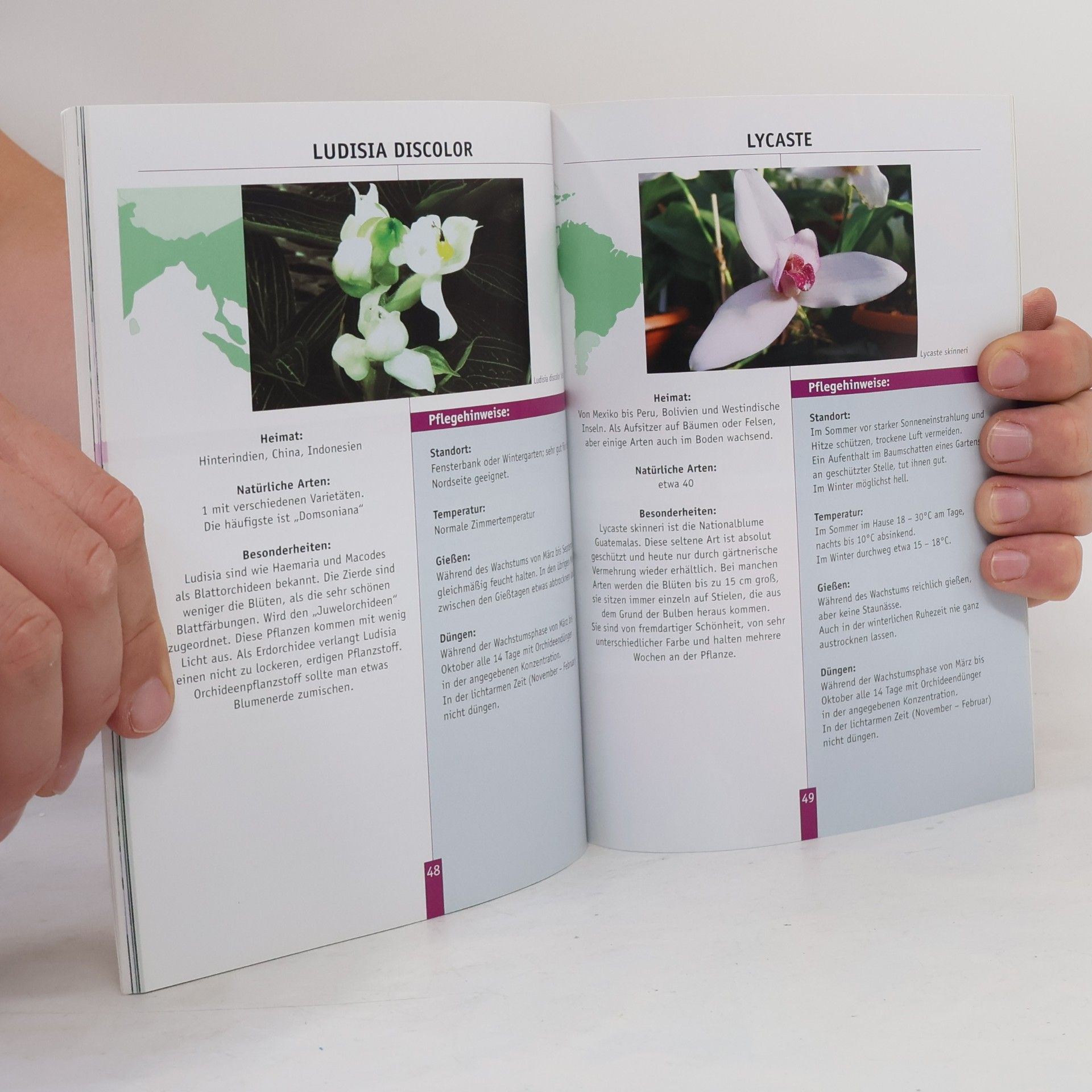 Kolektiv autorů Orchideen