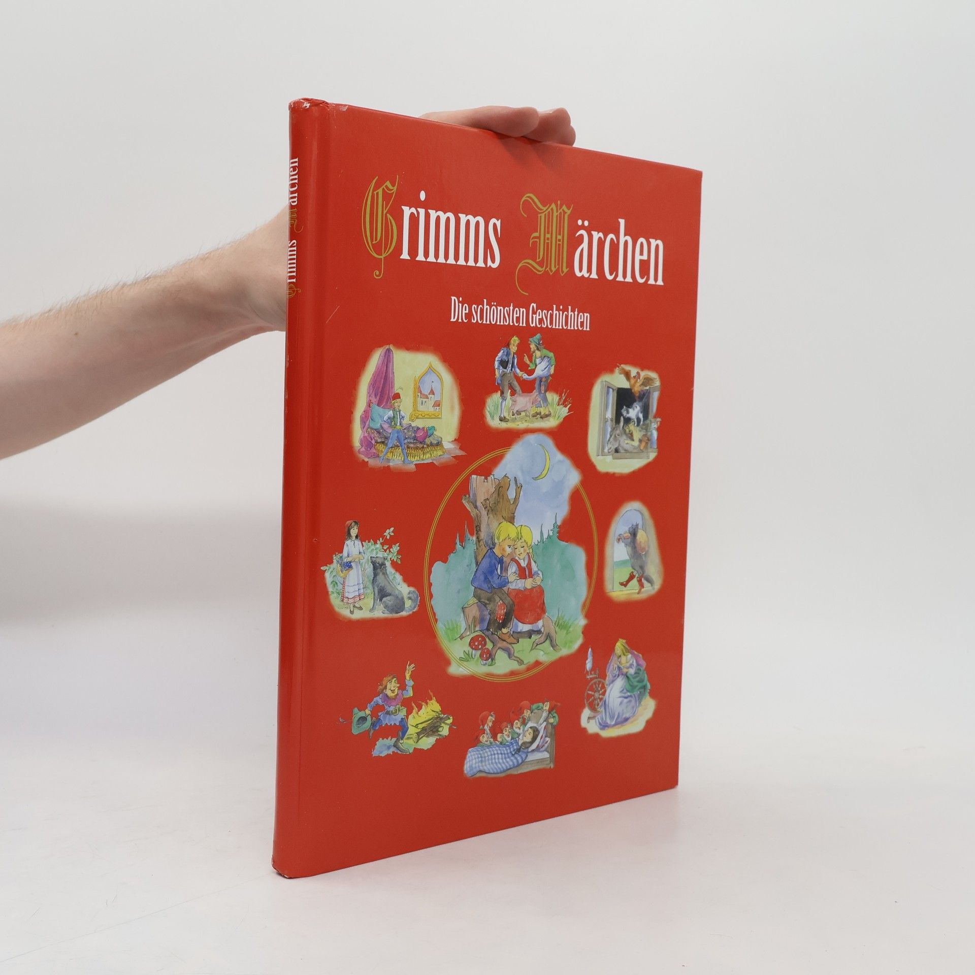 Autores varios Grimms Märchen. Die schönsten Geschichten