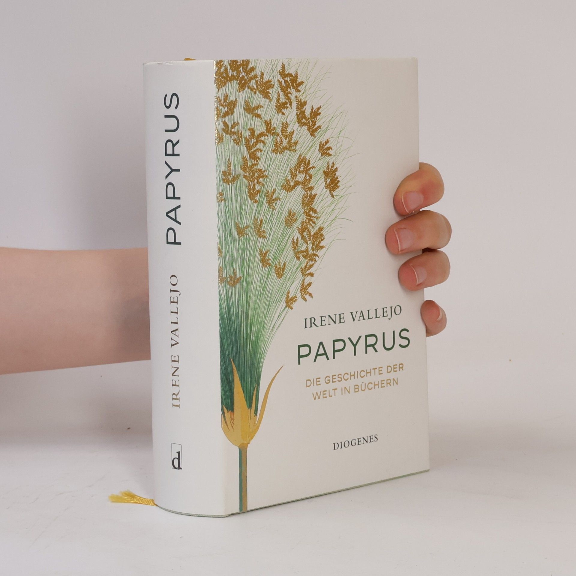Irene Vallejo Papyrus