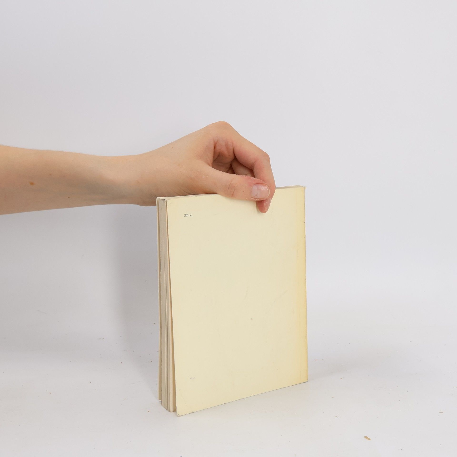 Collectif d'auteurs L'Ermitage. Guide