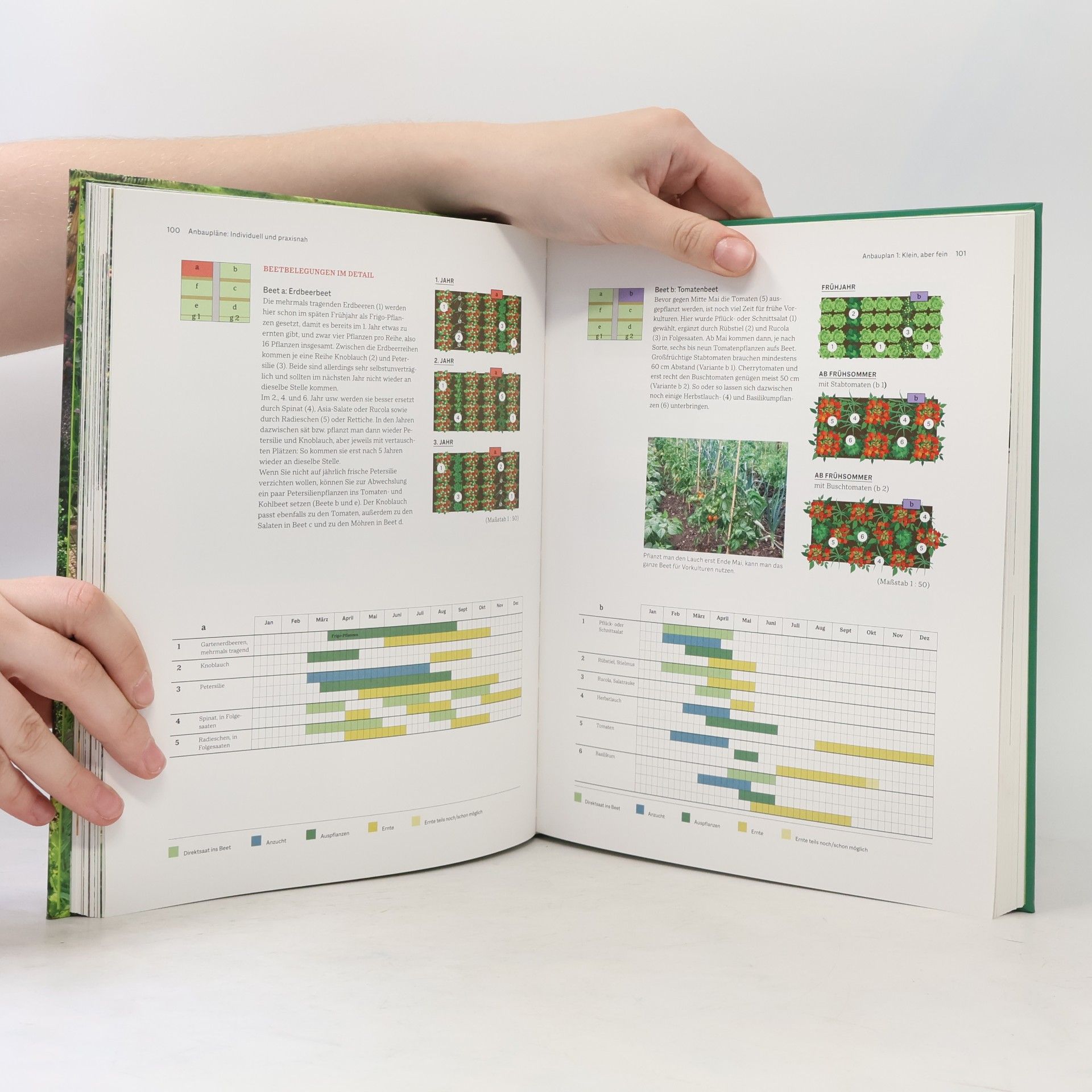 Joachim Mayer Das große BLV Handbuch Gemüse-Anbauplanung