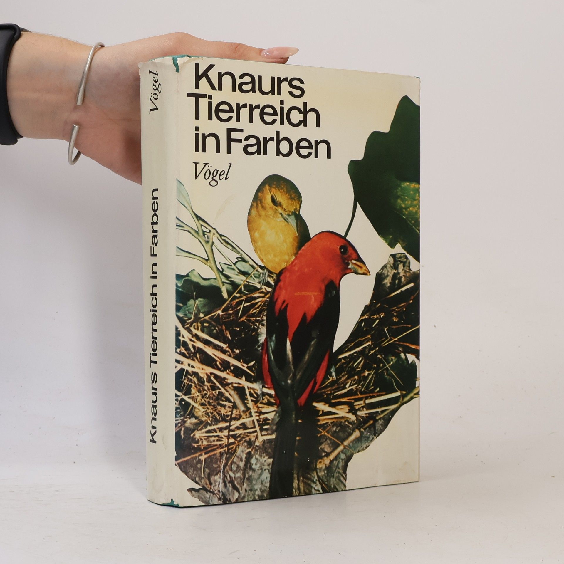 Autorenkollektiv Knaurs Tierreich in Farben
