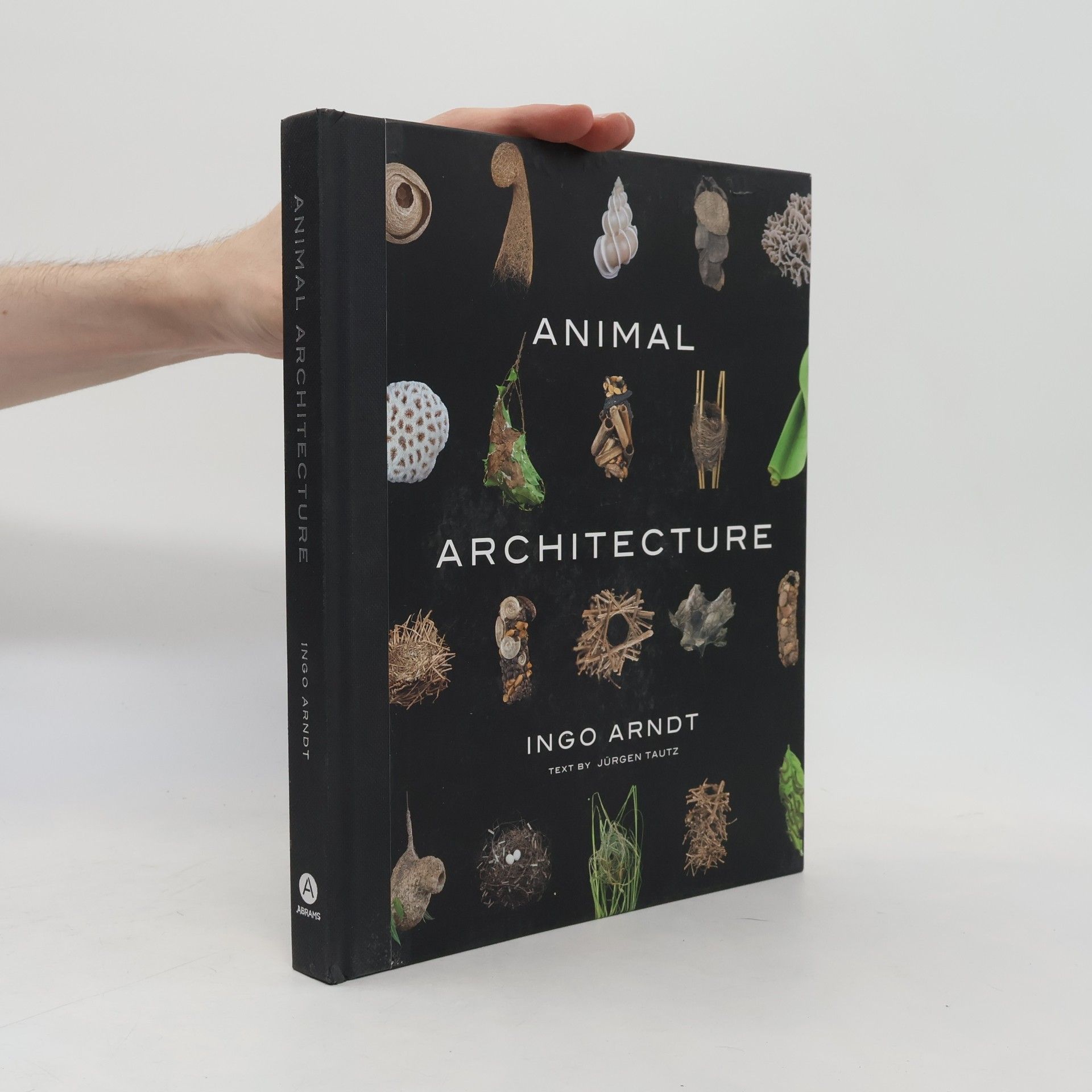 Animal architecture