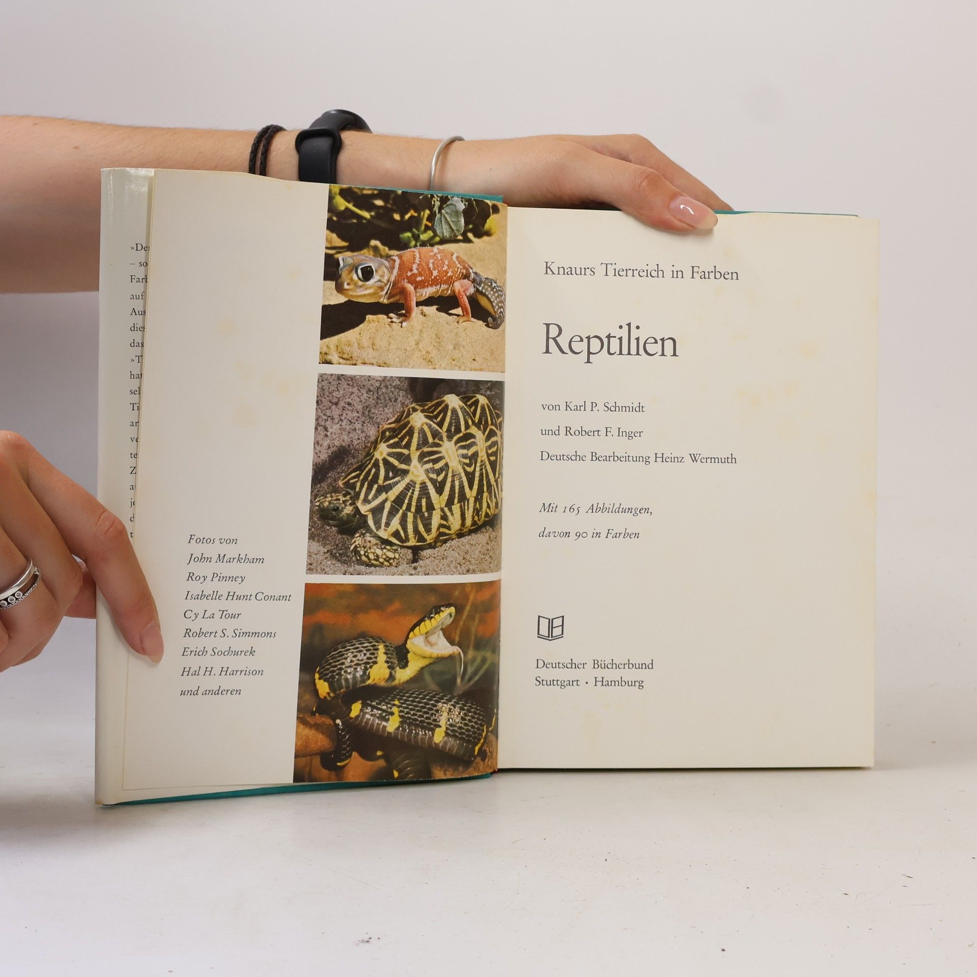 Autorenkollektiv Knaurs Tierreich in Farben. Reptilien
