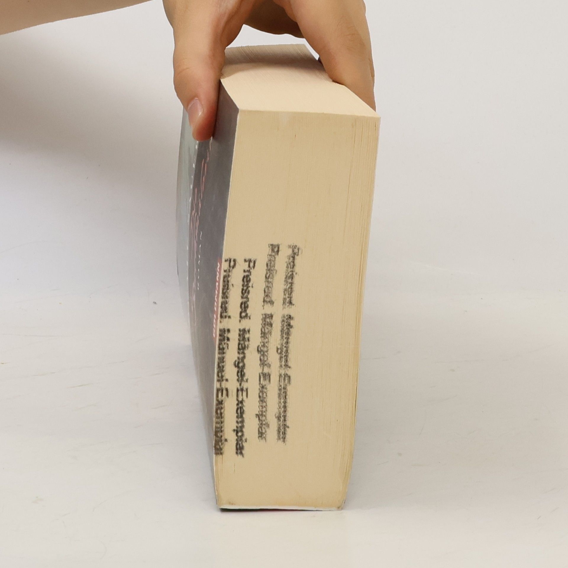 Beate Sauer Die Buchmalerin