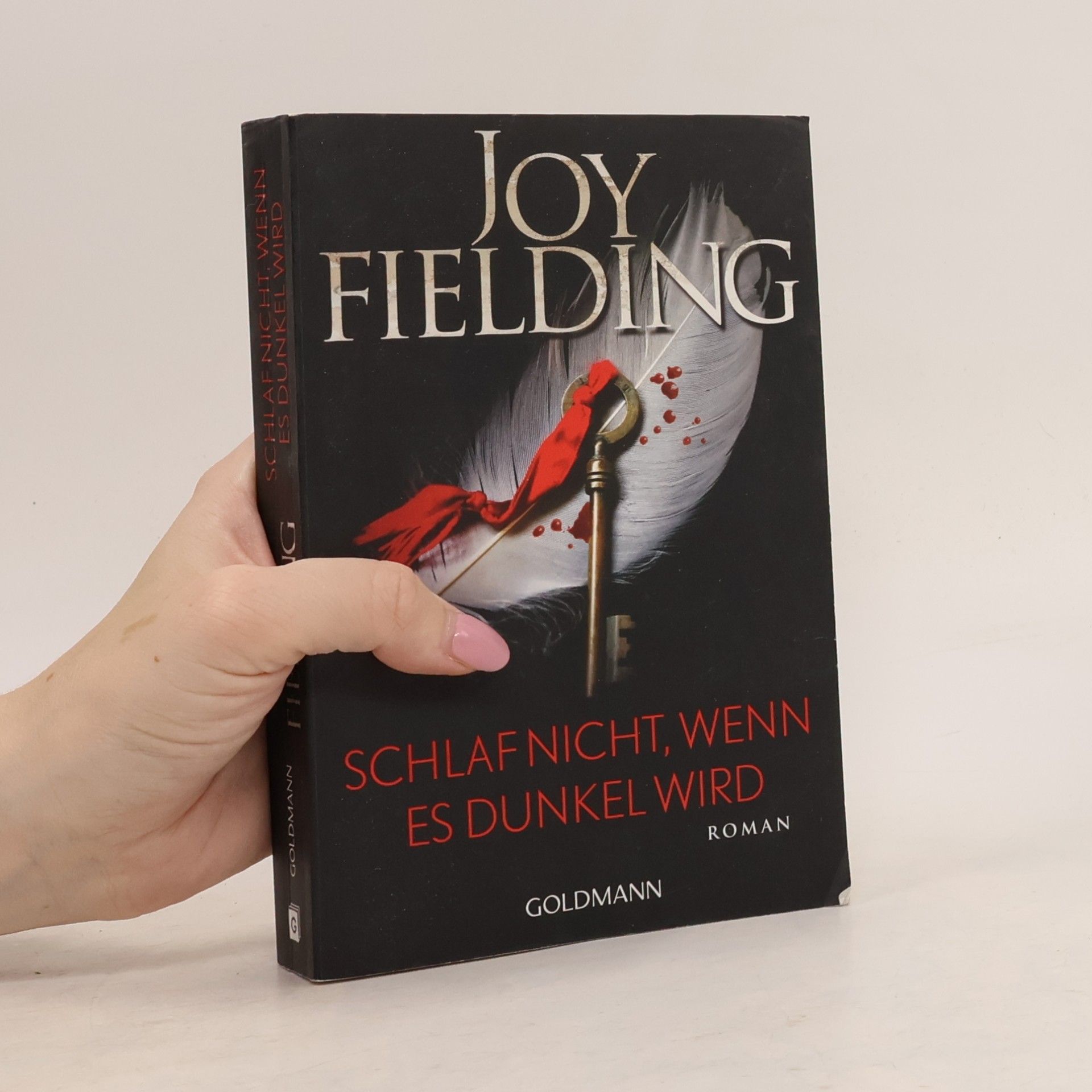 Joy Fielding Schlaf nicht, wenn es dunkel wird