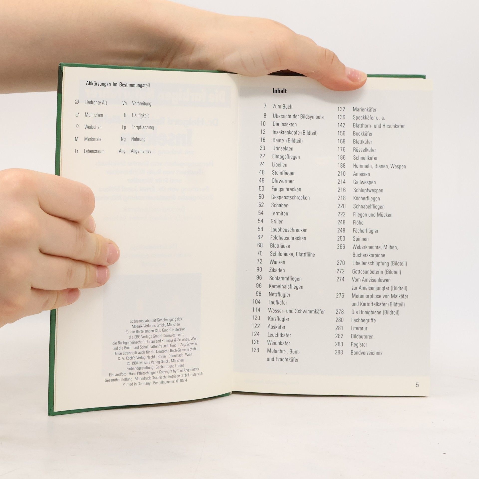 Autorenkollektiv Insekten