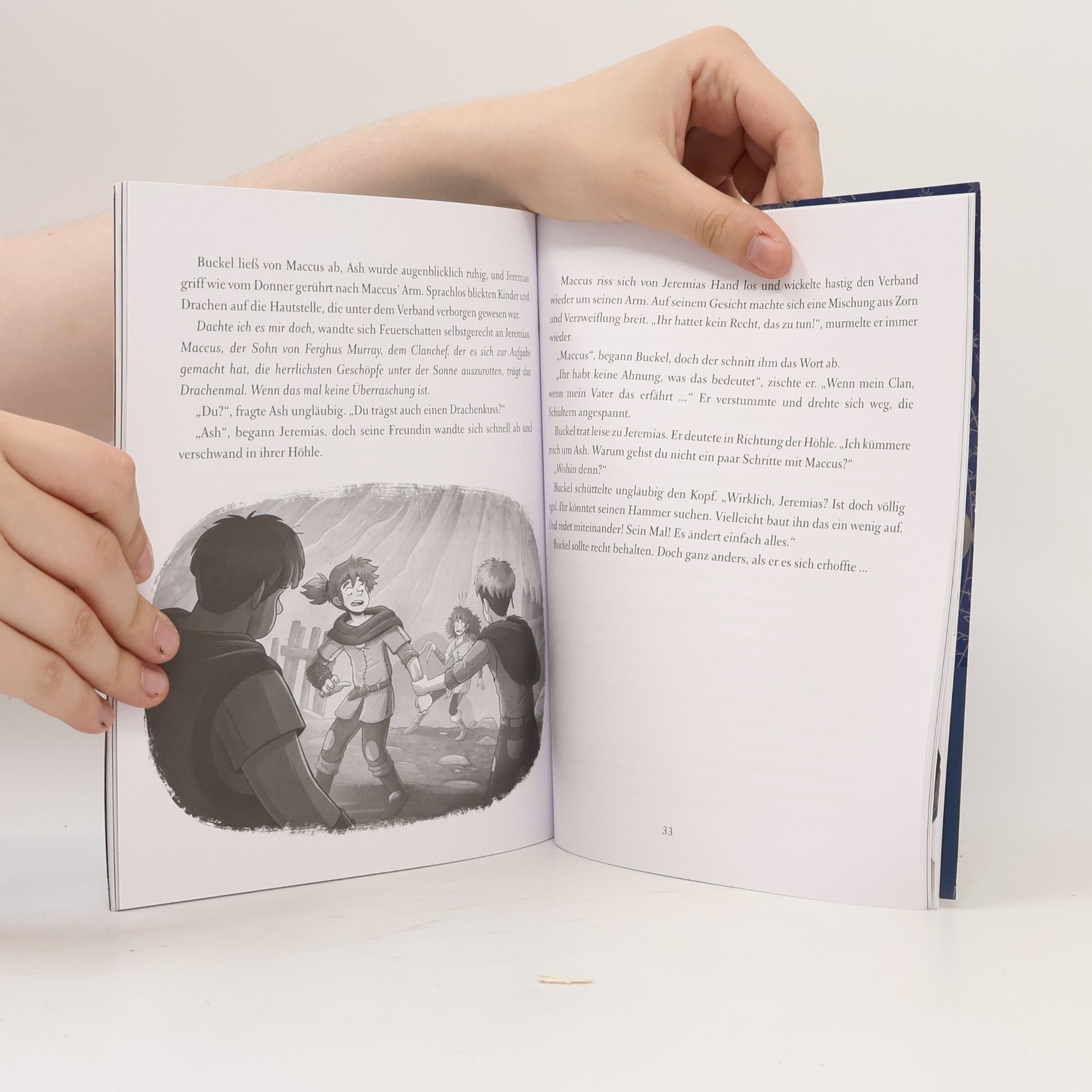 Emily Skye Die geheime Drachenschule. Die Fährende Bibliothek