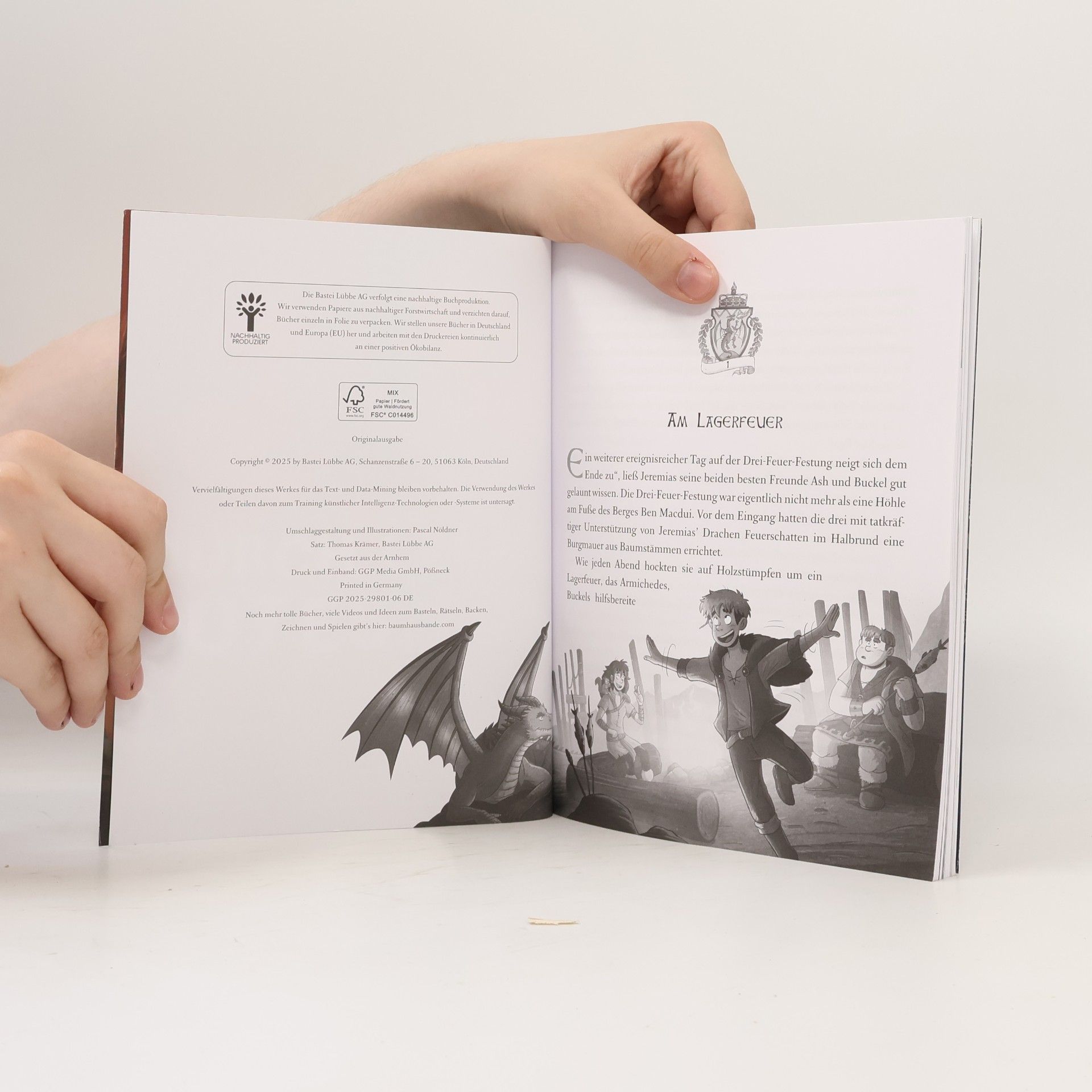 Emily Skye Die geheime Drachenschule. Die Fährende Bibliothek