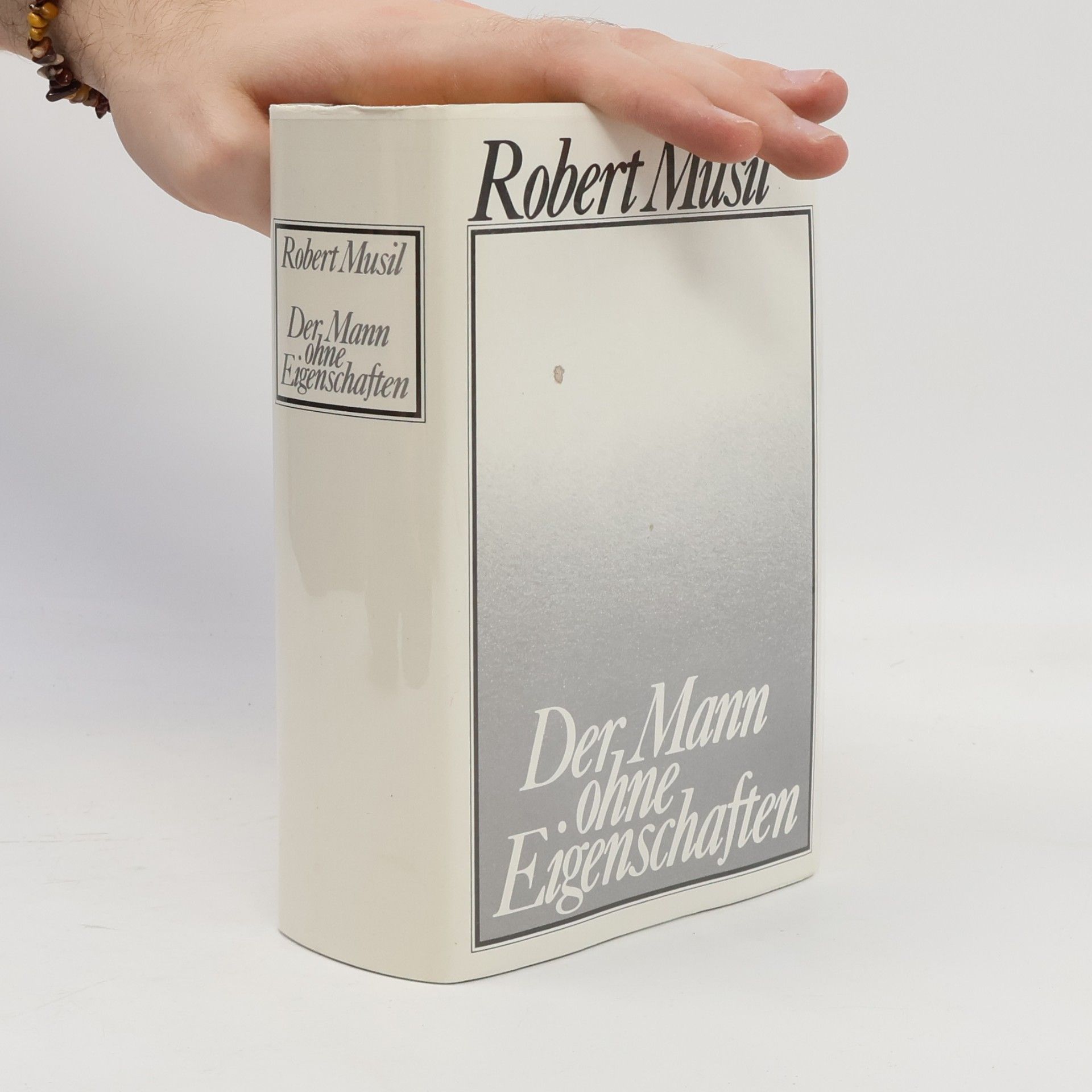 Robert Musil Der Mann ohne Eigenschaften