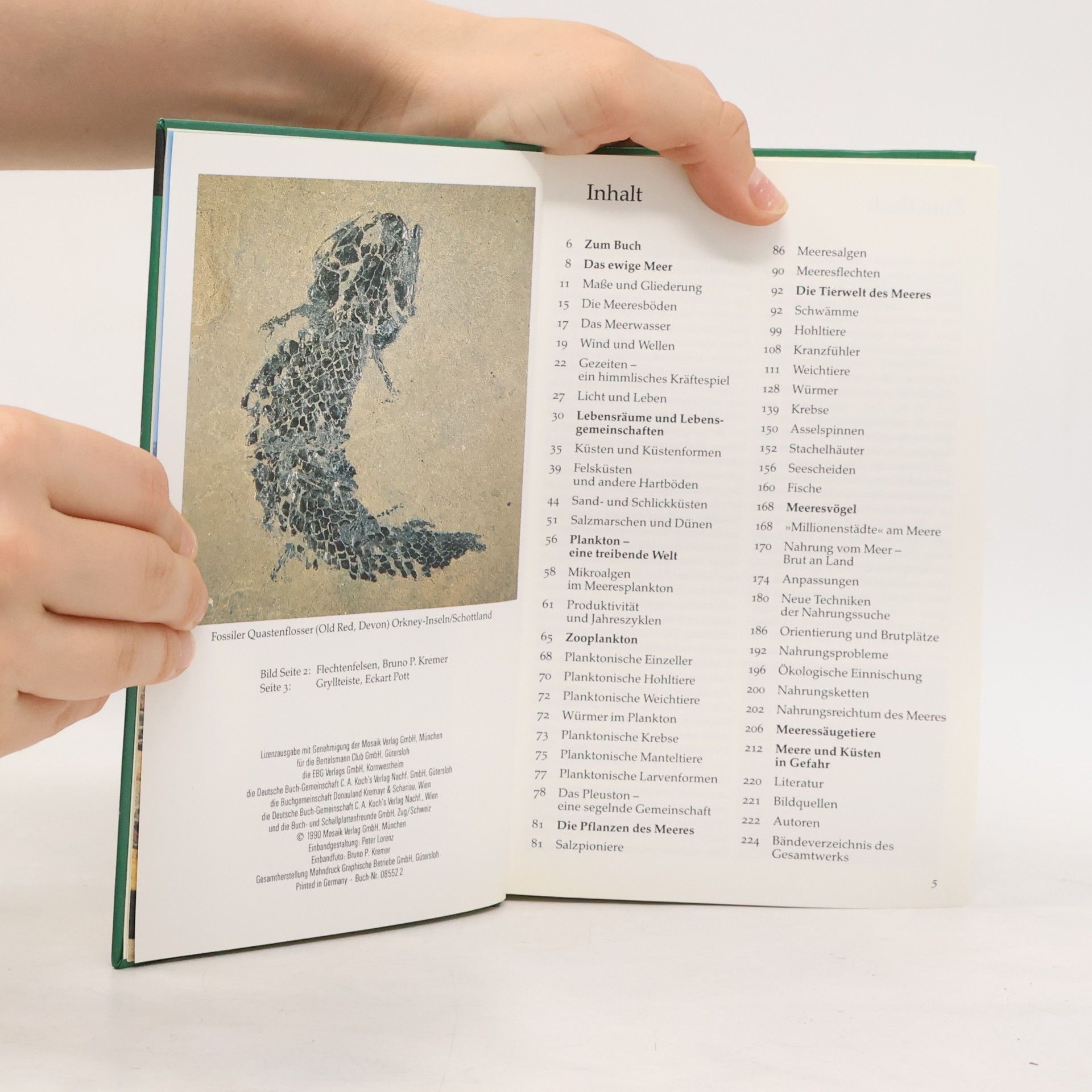 Collectif d'auteurs Meere und Küsten