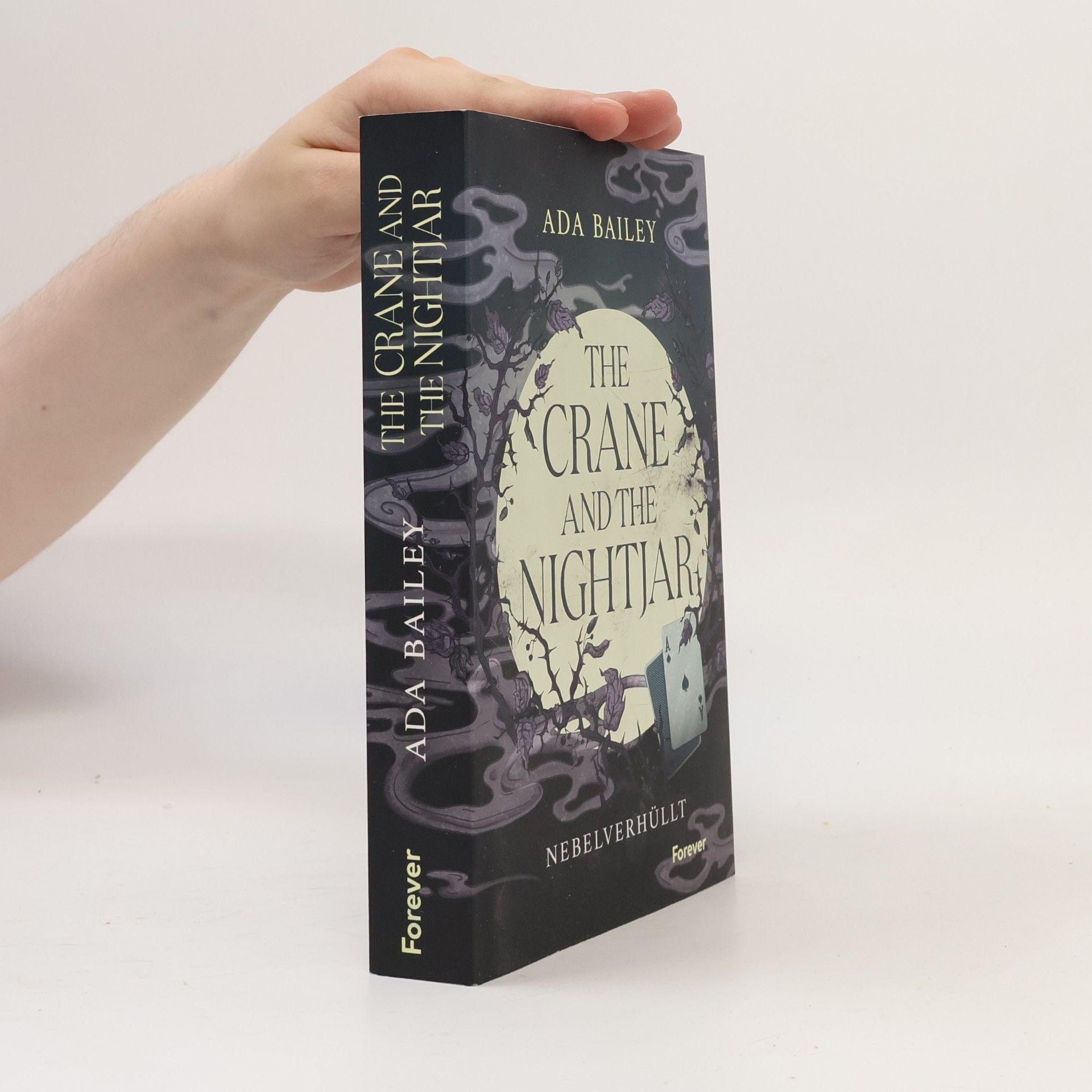 Ada Bailey The Crane and the Nightjar