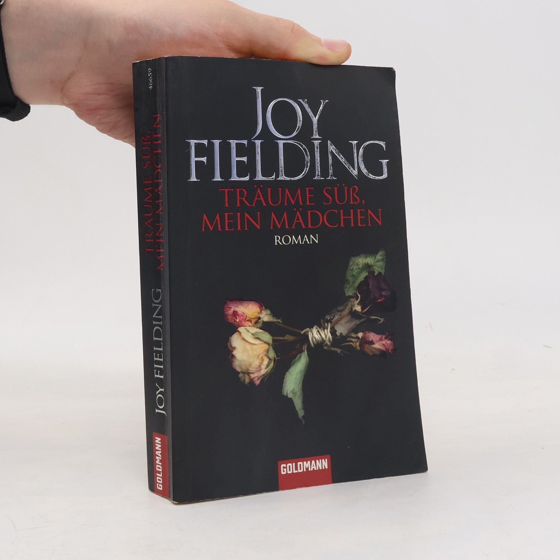 Joy Fielding Träume süss, mein Mädchen