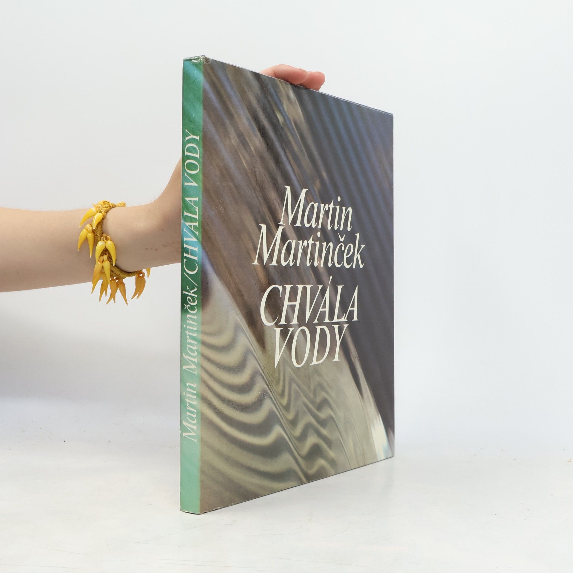 Martin Martinček Chvála vody
